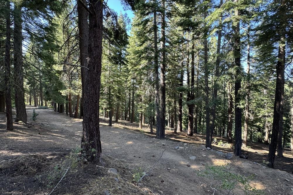 11710 Tundra Drive, Truckee, CA, 96161