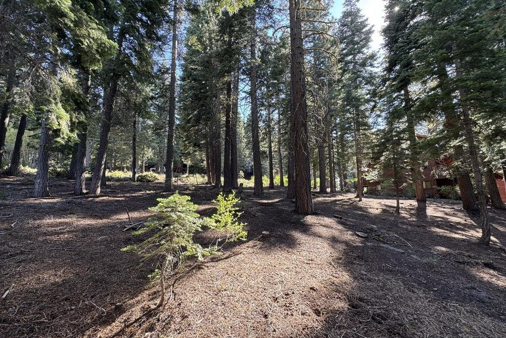 11710 Tundra Drive, Truckee, CA, 96161