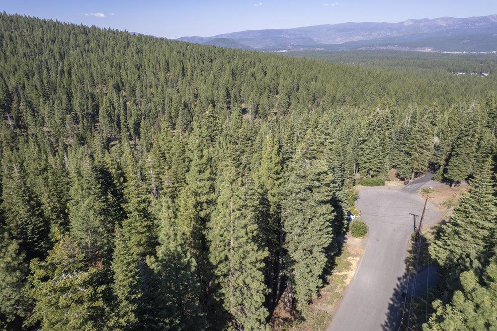 11710 Tundra Drive, Truckee, CA, 96161