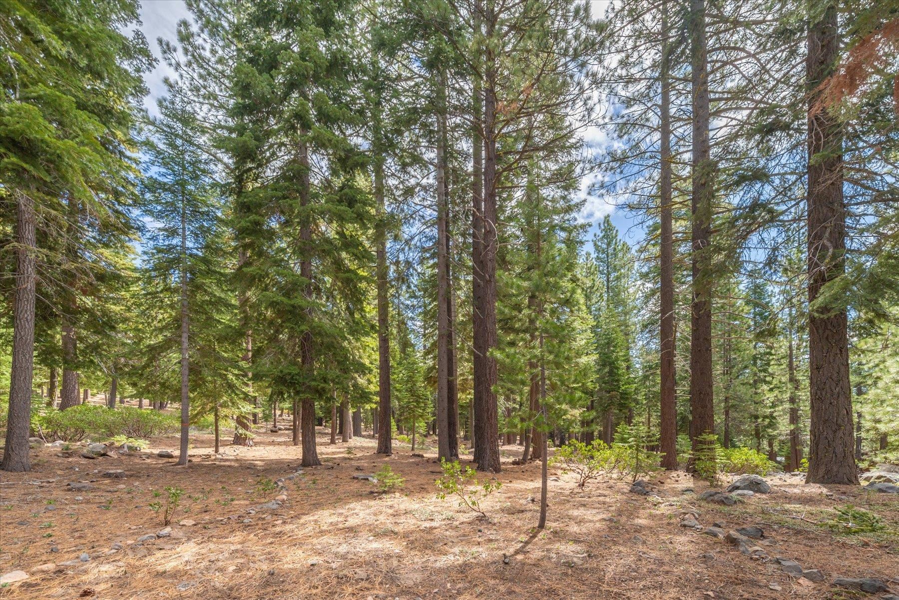 11975 Brookstone Drive, Truckee, CA, 96161