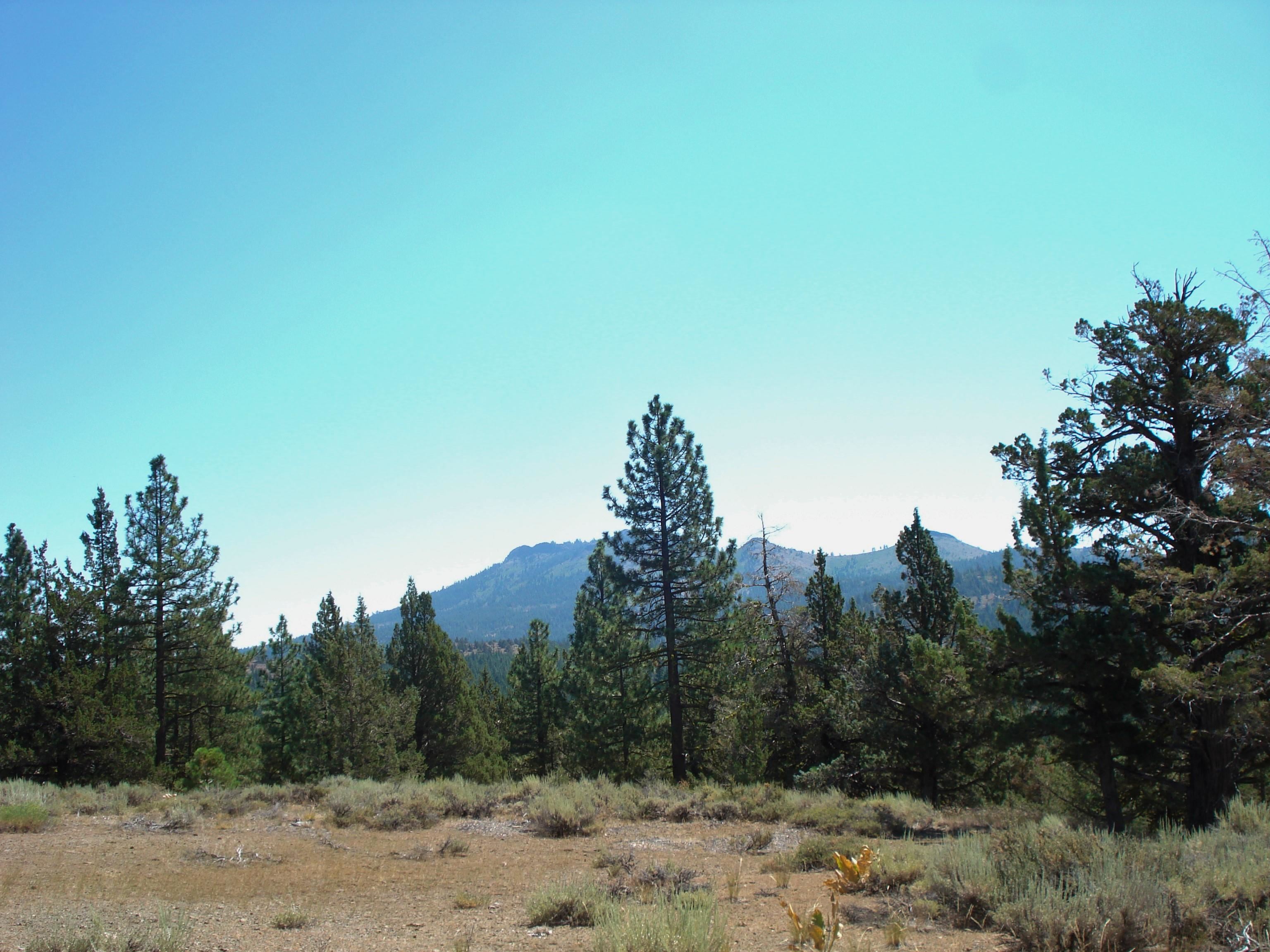 463 Quail Run, Portola, CA, 96122