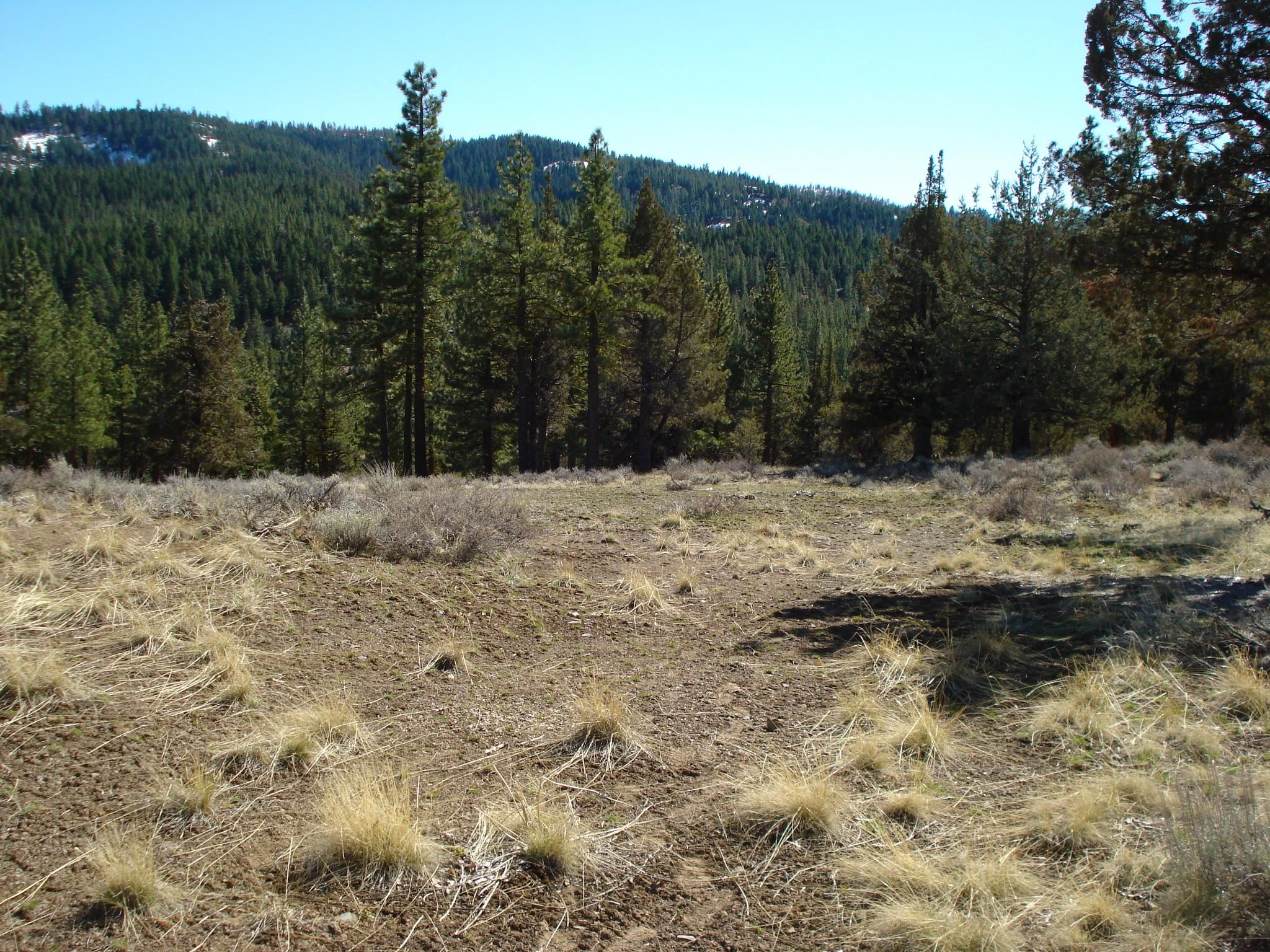 463 Quail Run, Portola, CA, 96122