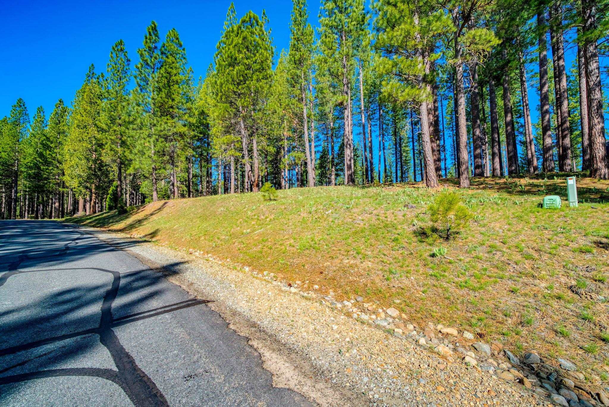 266 Boulder Drive, Clio, CA, 96106