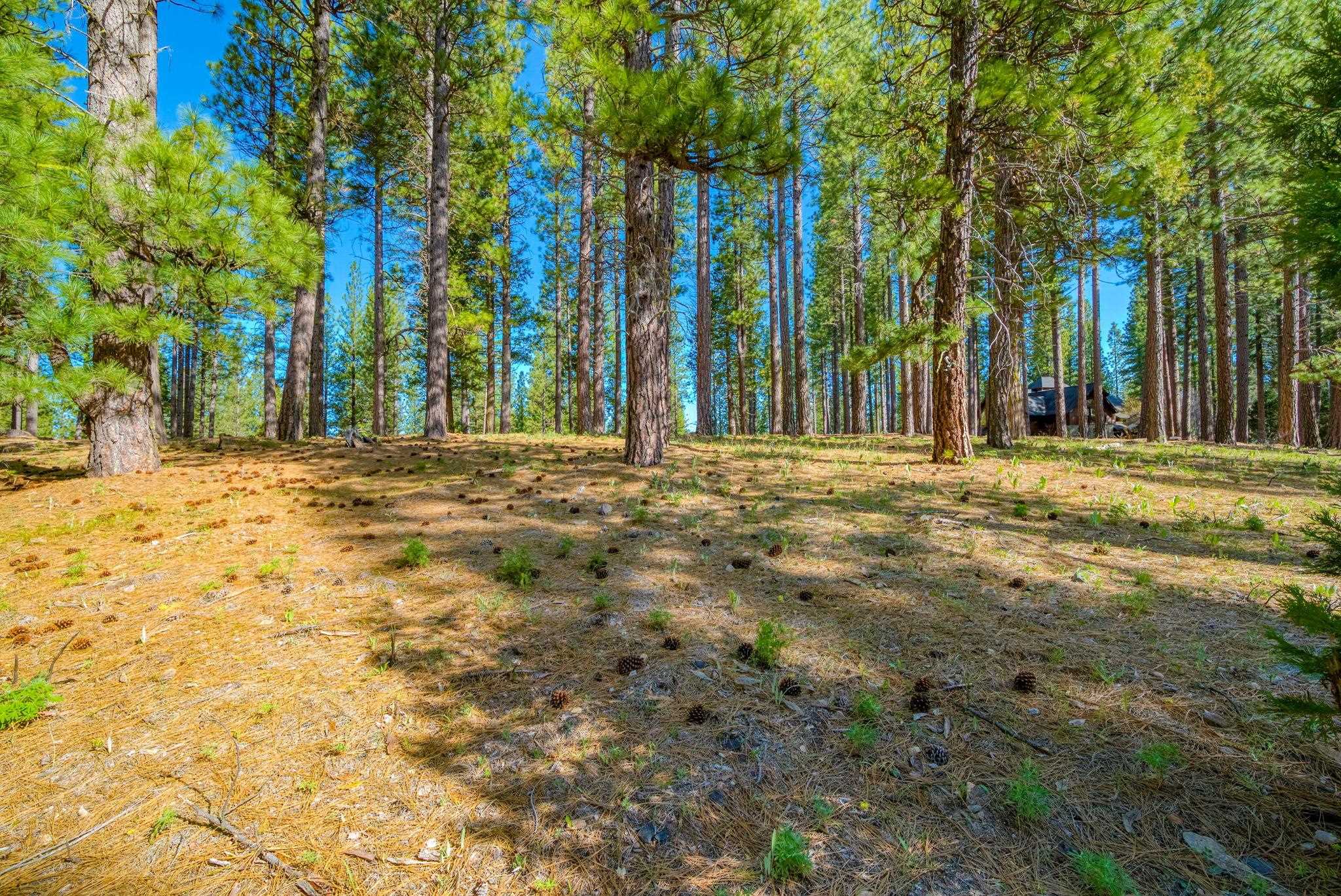 266 Boulder Drive, Clio, CA, 96106