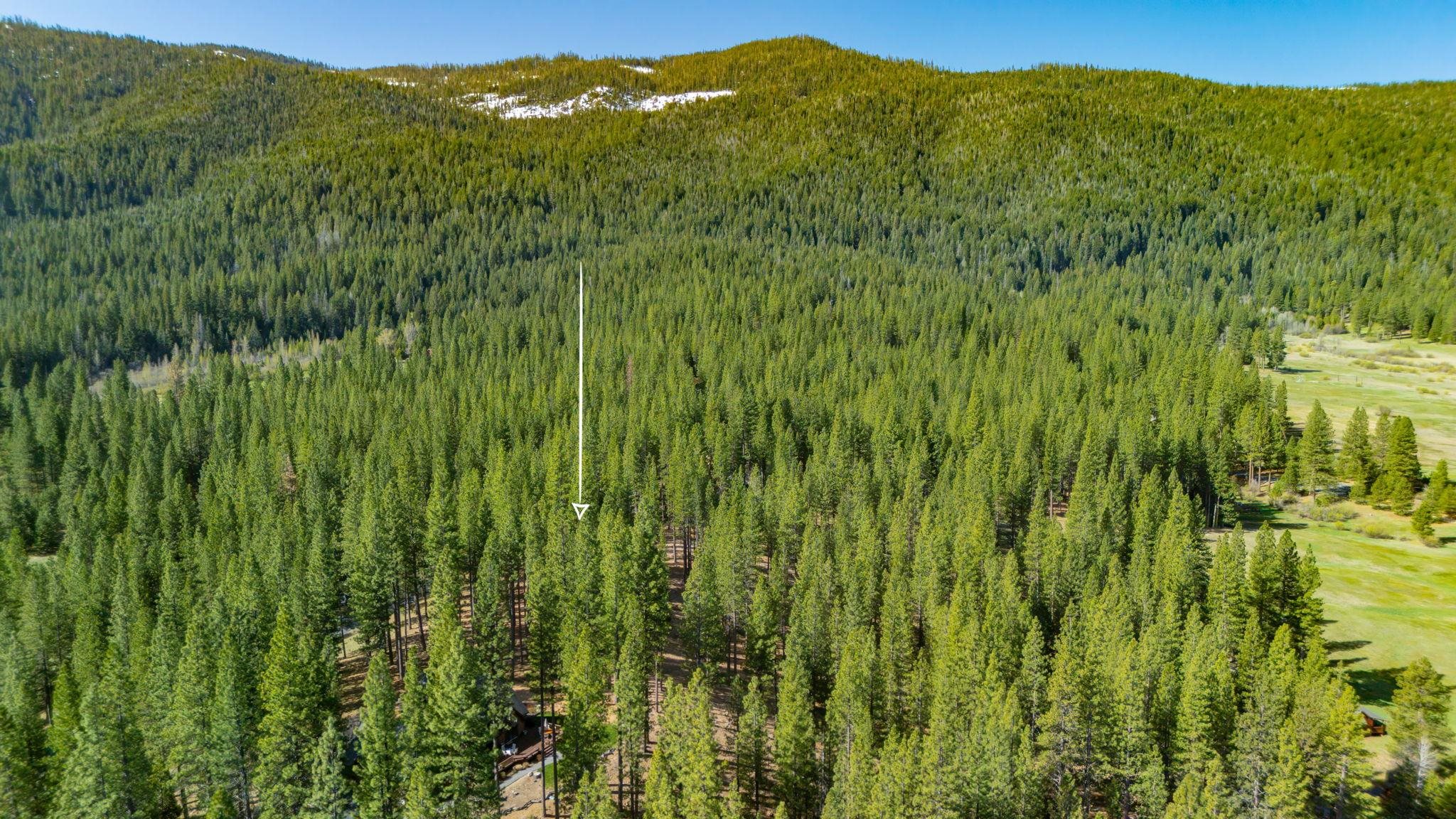 266 Boulder Drive, Clio, CA, 96106