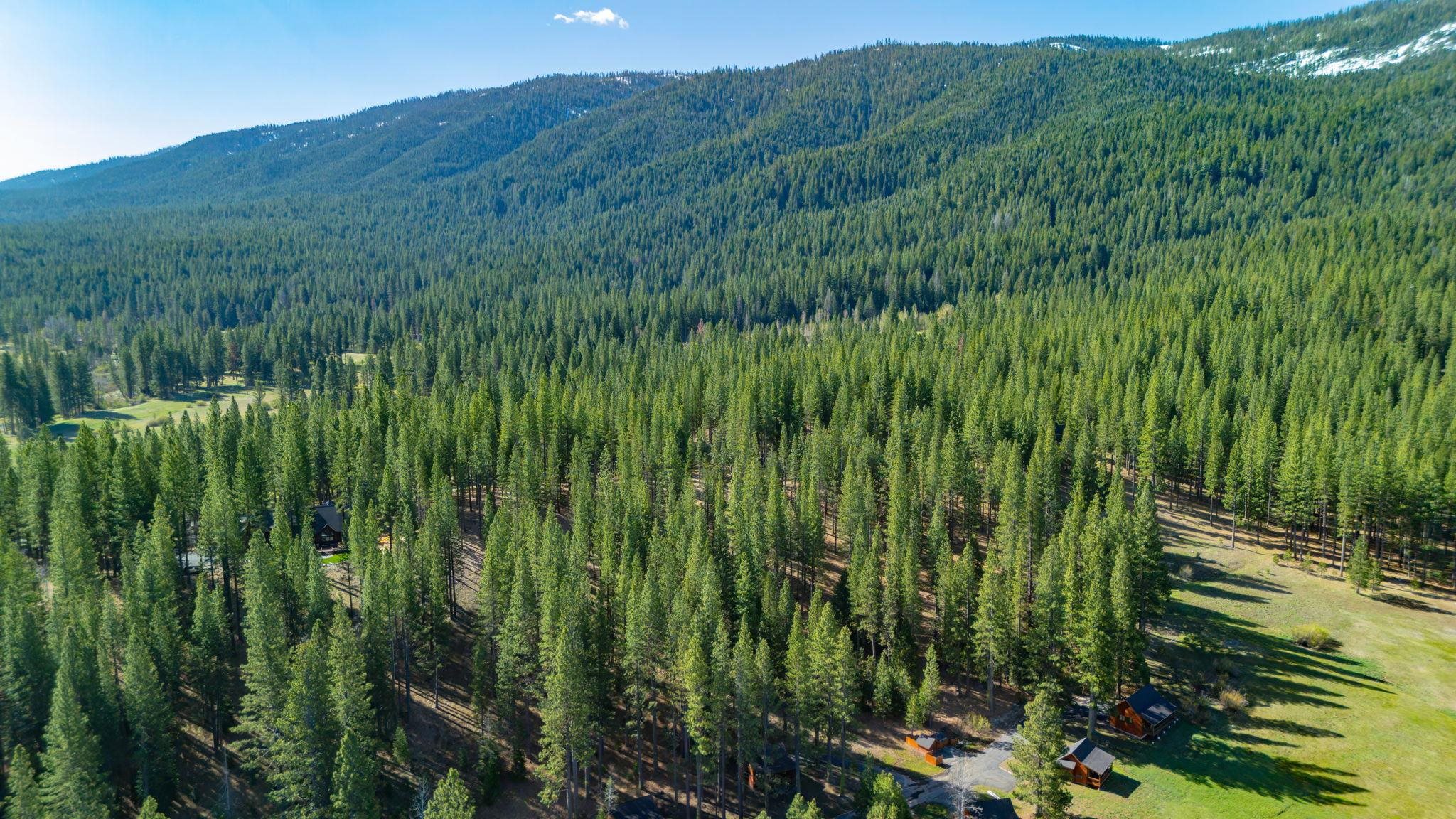 266 Boulder Drive, Clio, CA, 96106