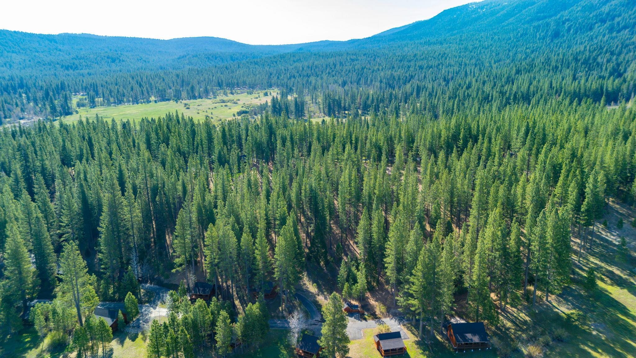 266 Boulder Drive, Clio, CA, 96106