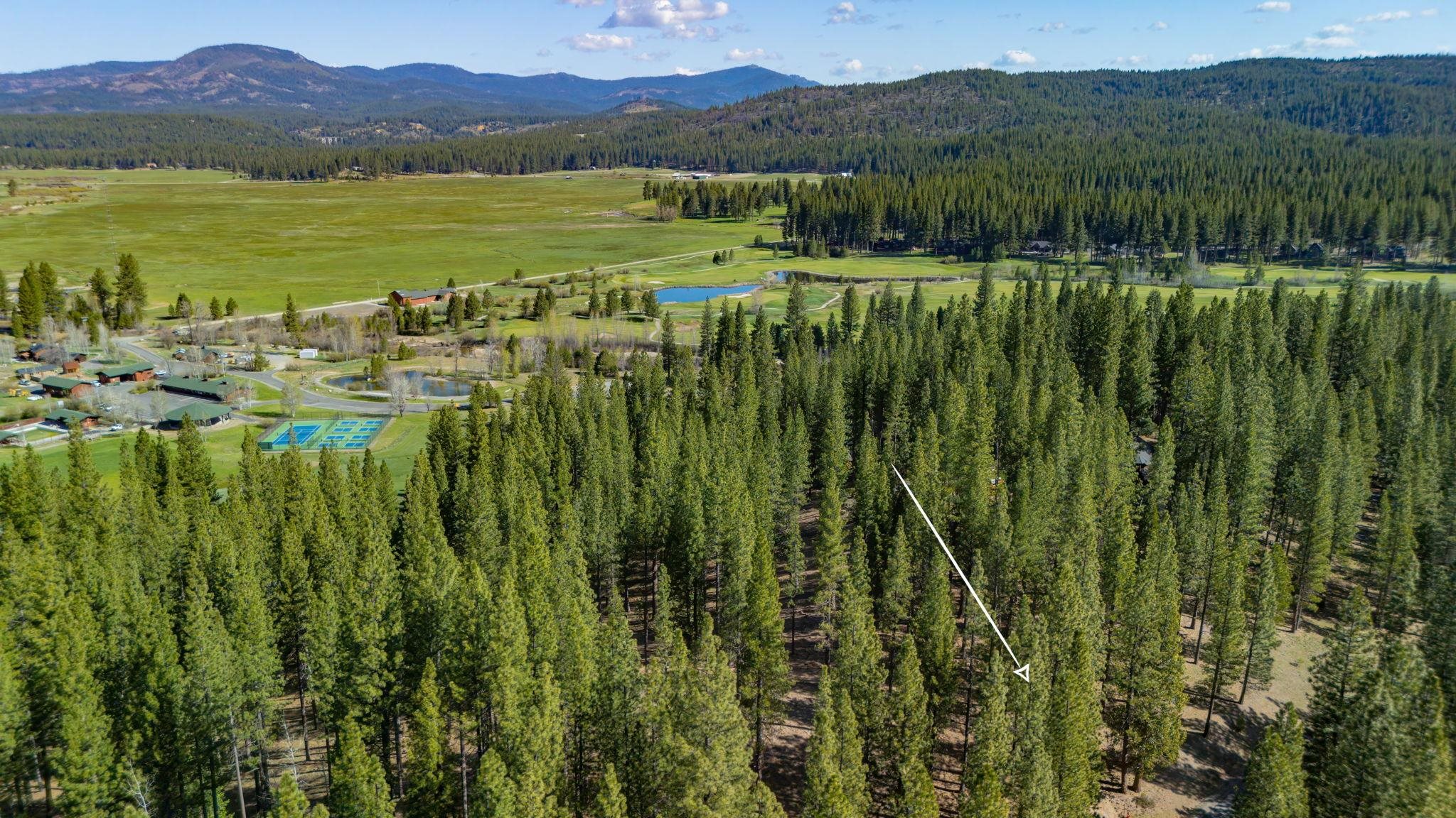 266 Boulder Drive, Clio, CA, 96106