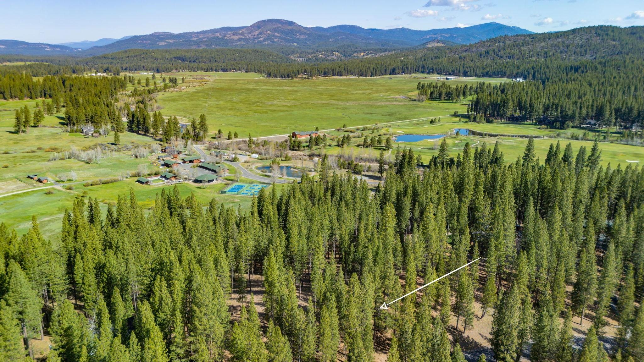 266 Boulder Drive, Clio, CA, 96106