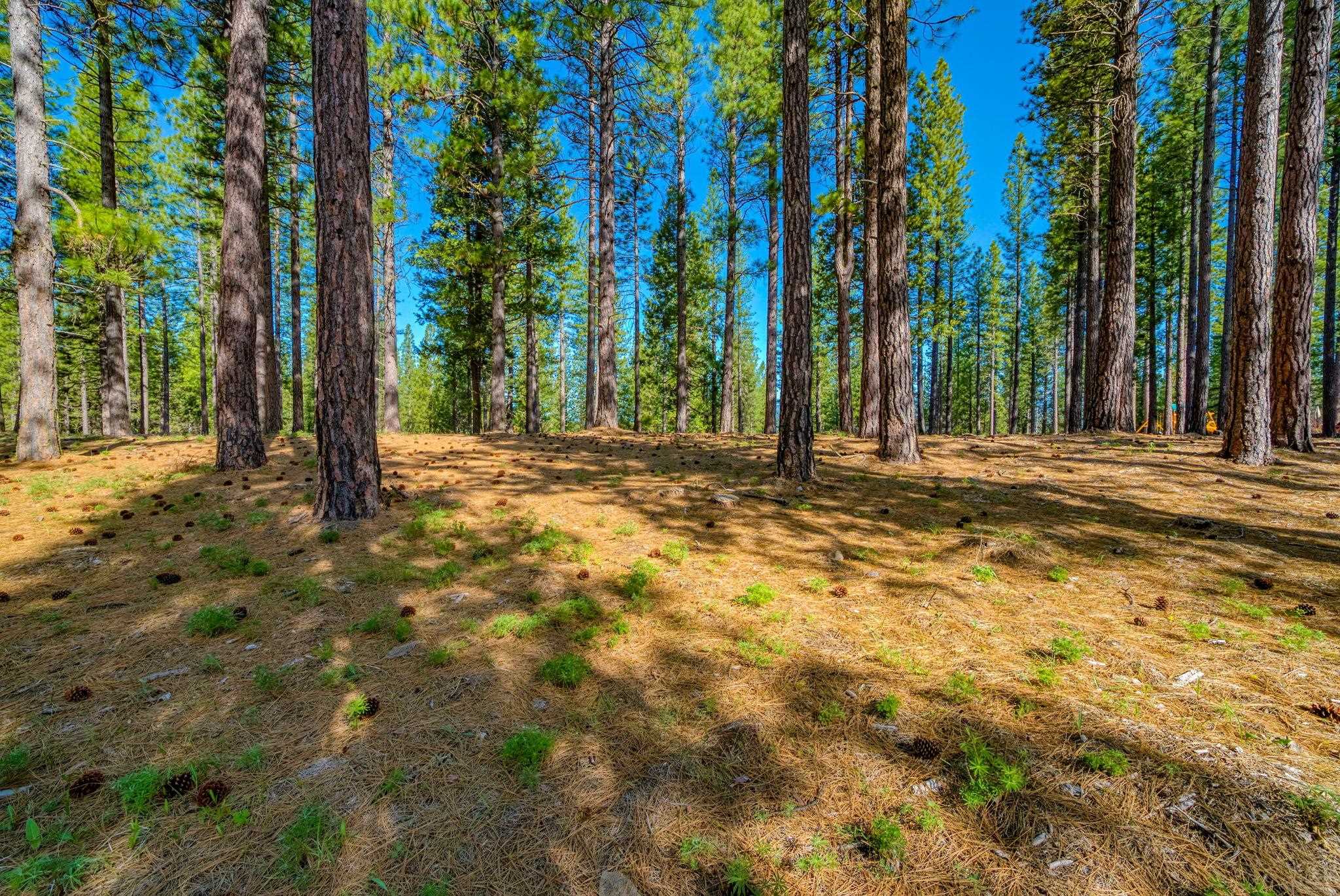 266 Boulder Drive, Clio, CA, 96106