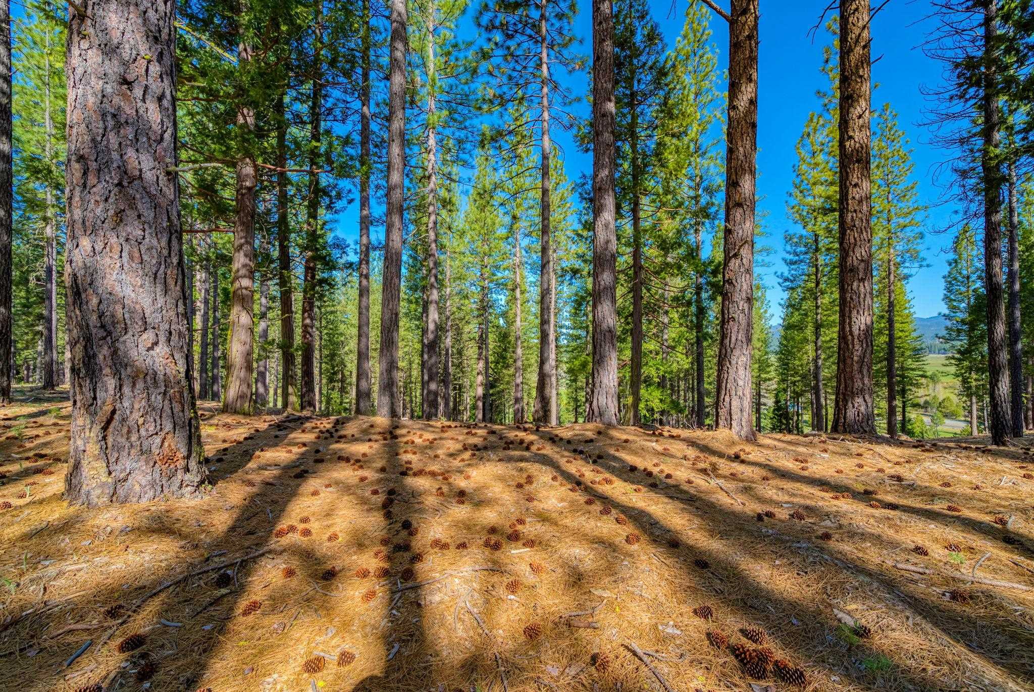 266 Boulder Drive, Clio, CA, 96106