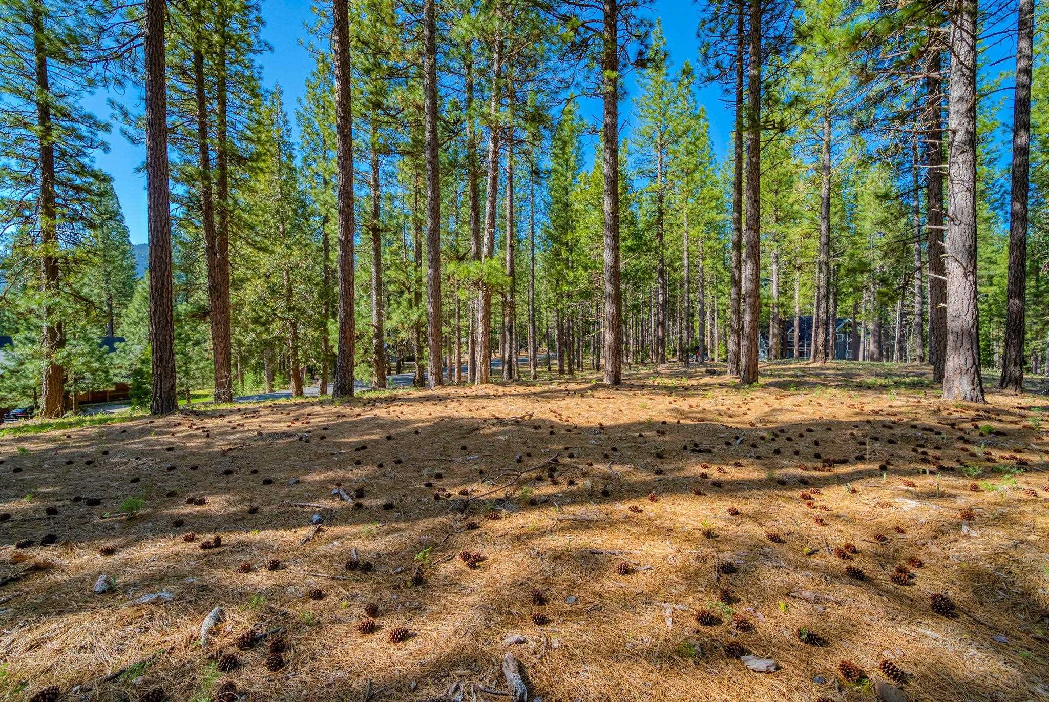 266 Boulder Drive, Clio, CA, 96106