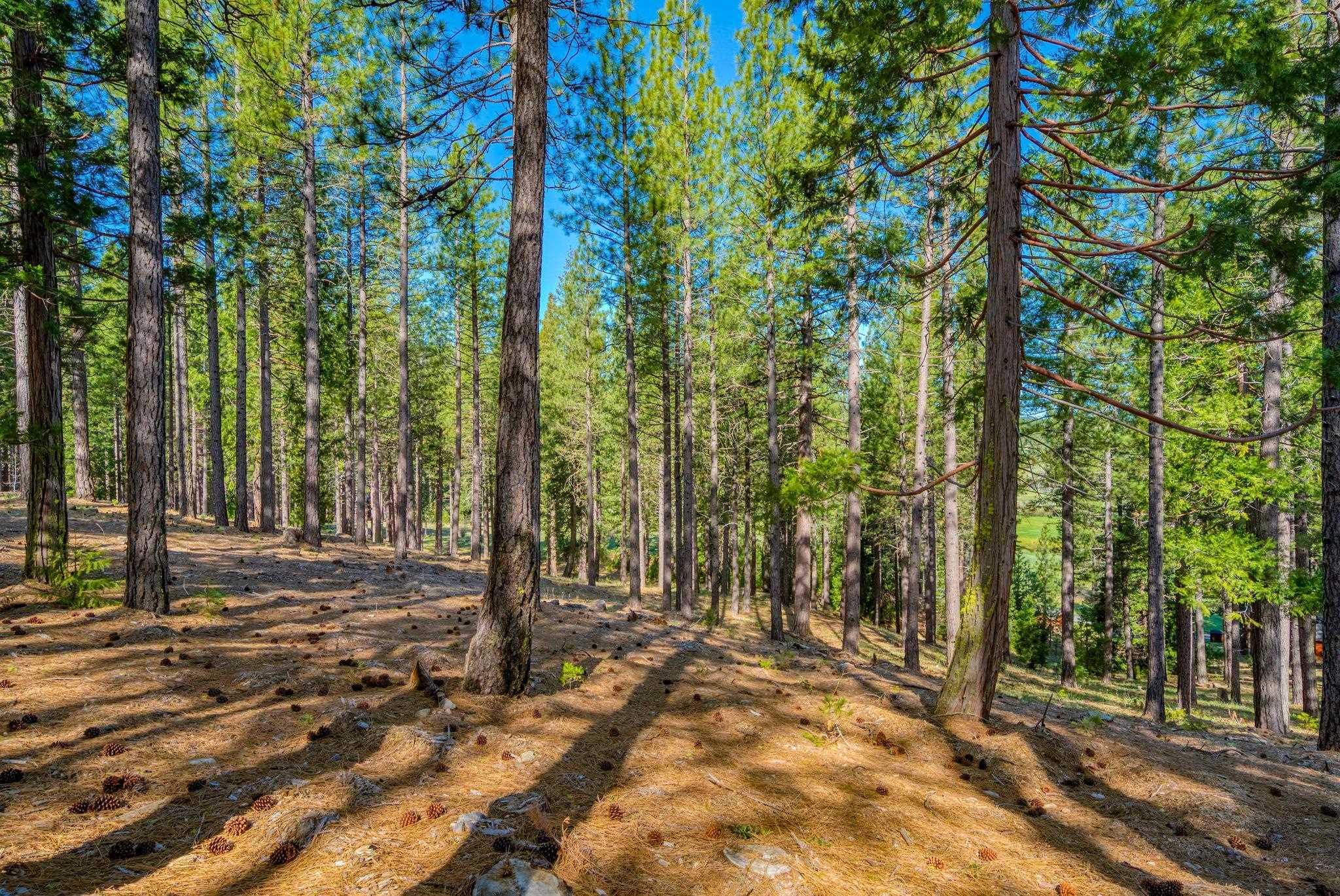 266 Boulder Drive, Clio, CA, 96106