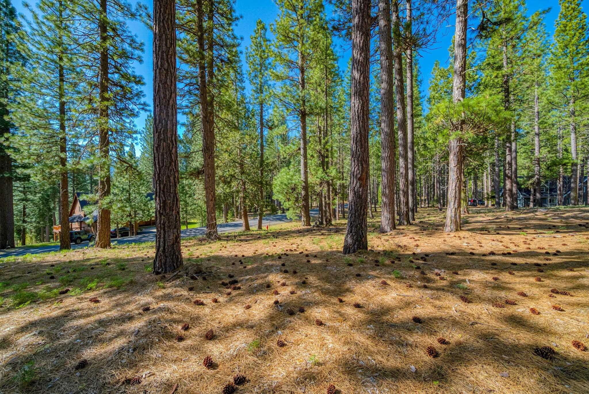 266 Boulder Drive, Clio, CA, 96106