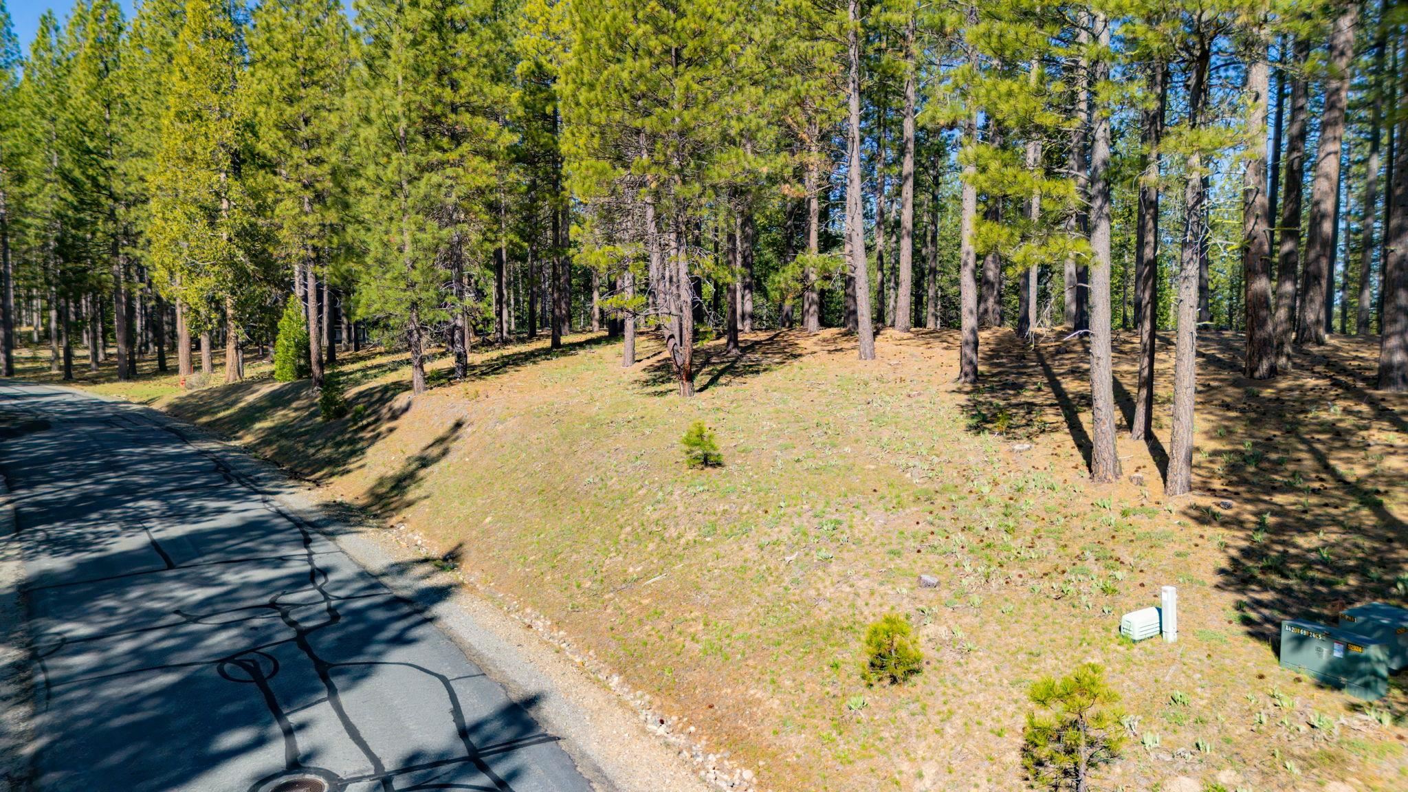 266 Boulder Drive, Clio, CA, 96106