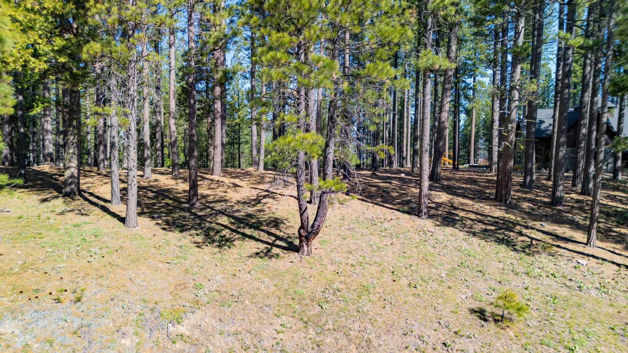 266 Boulder Drive, Clio, CA, 96106