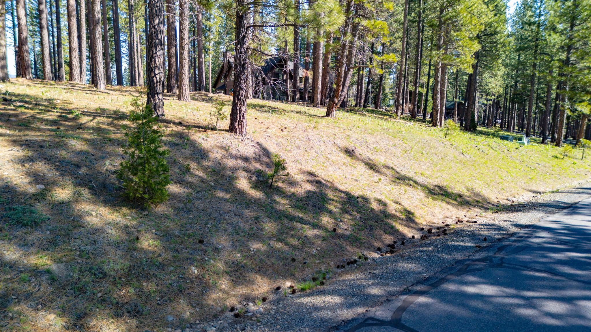 266 Boulder Drive, Clio, CA, 96106