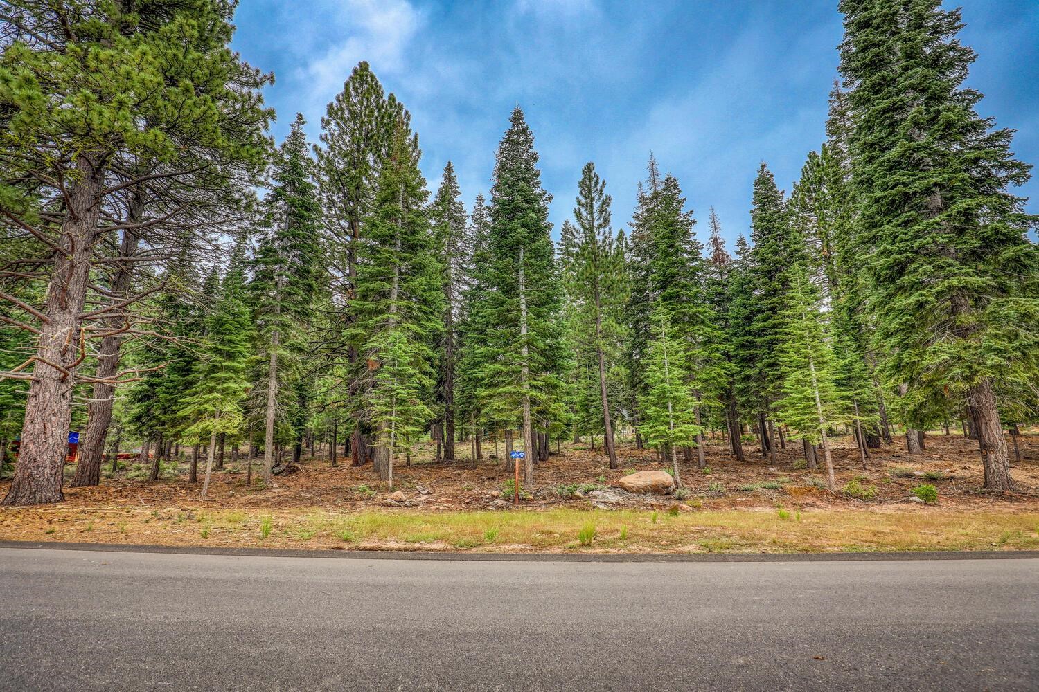 9270 Brae Road, Truckee, CA, 96161