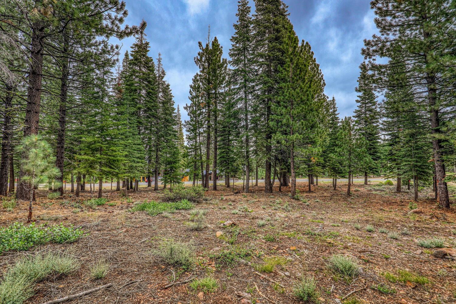 9270 Brae Road, Truckee, CA, 96161
