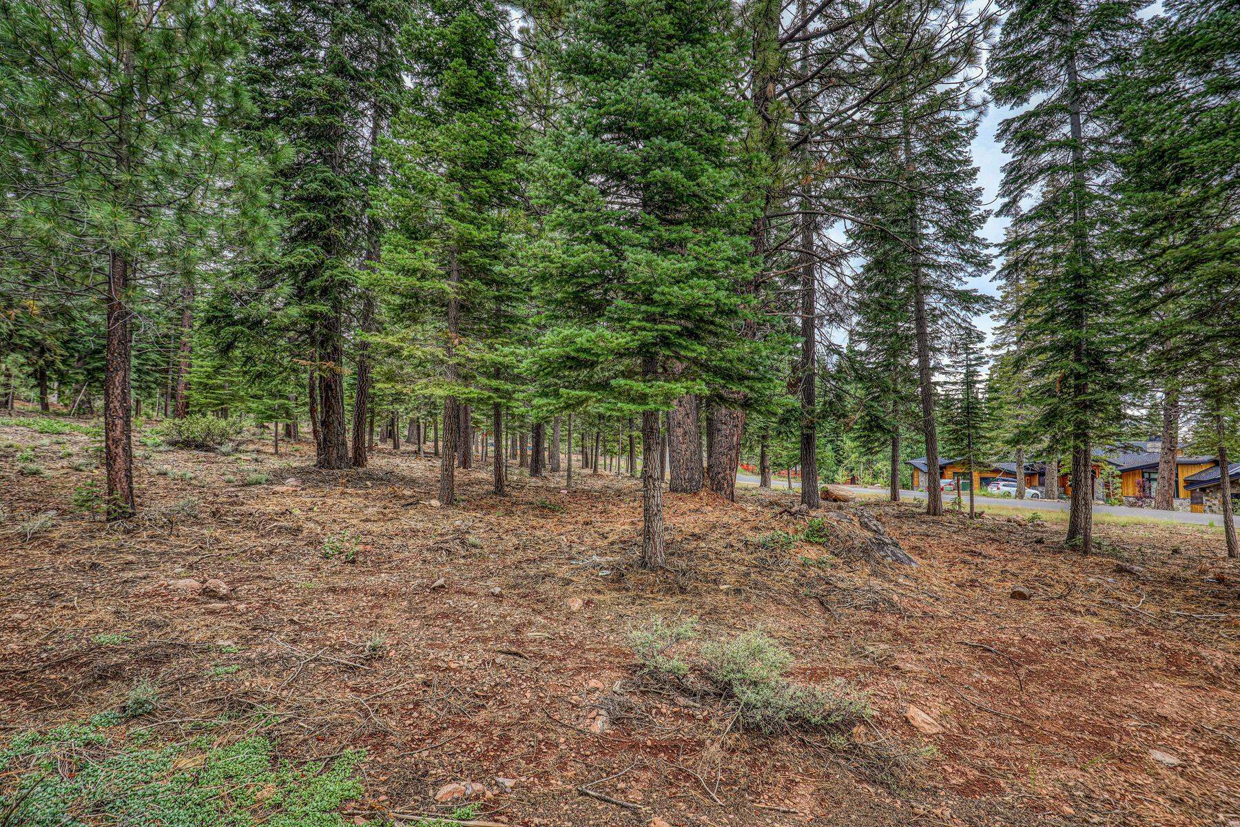 9270 Brae Road, Truckee, CA, 96161