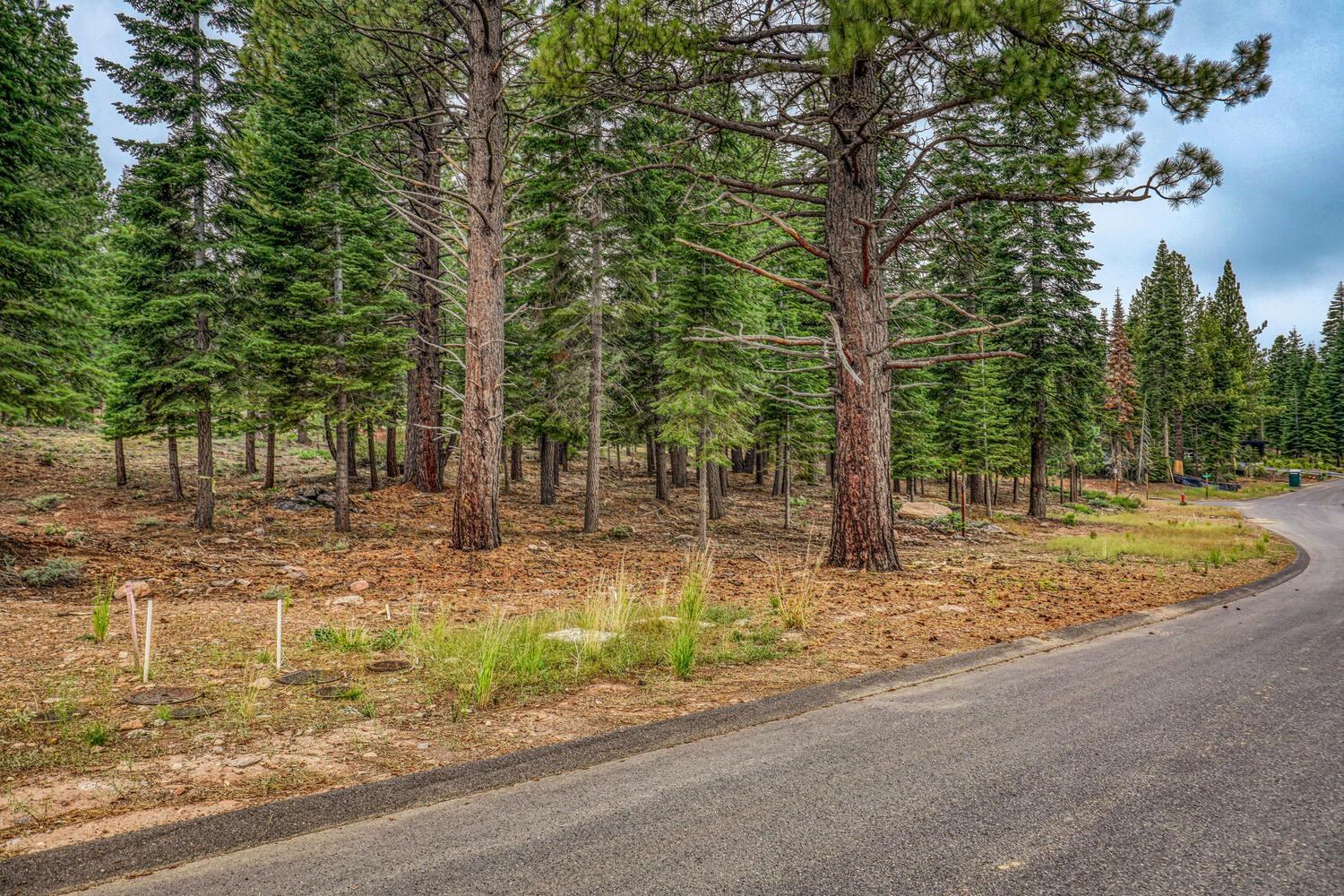 9270 Brae Road, Truckee, CA, 96161