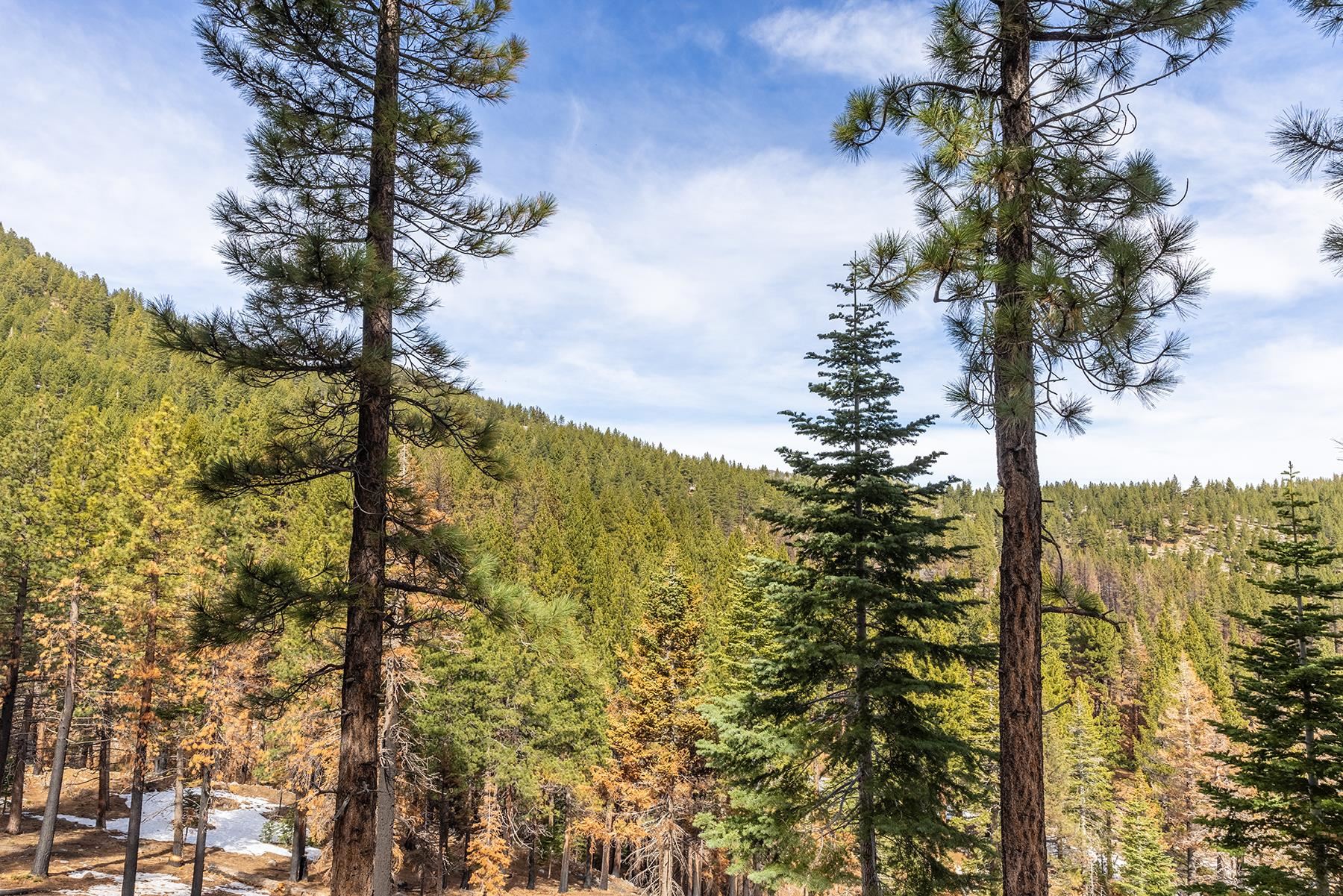 20102 Hibbet Trail, Reno, NV, 89511