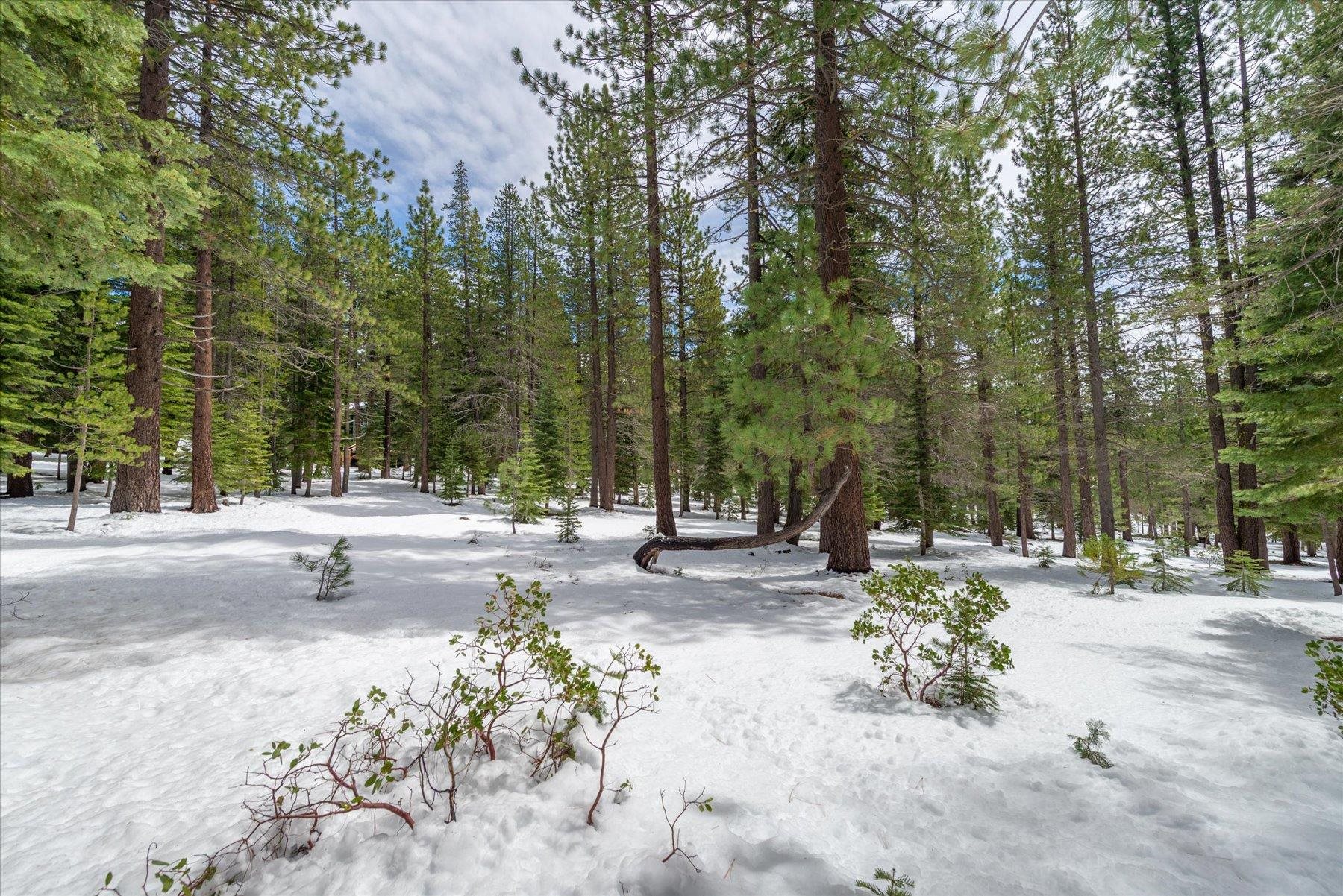 11819 Brookstone Drive, Truckee, CA, 96161