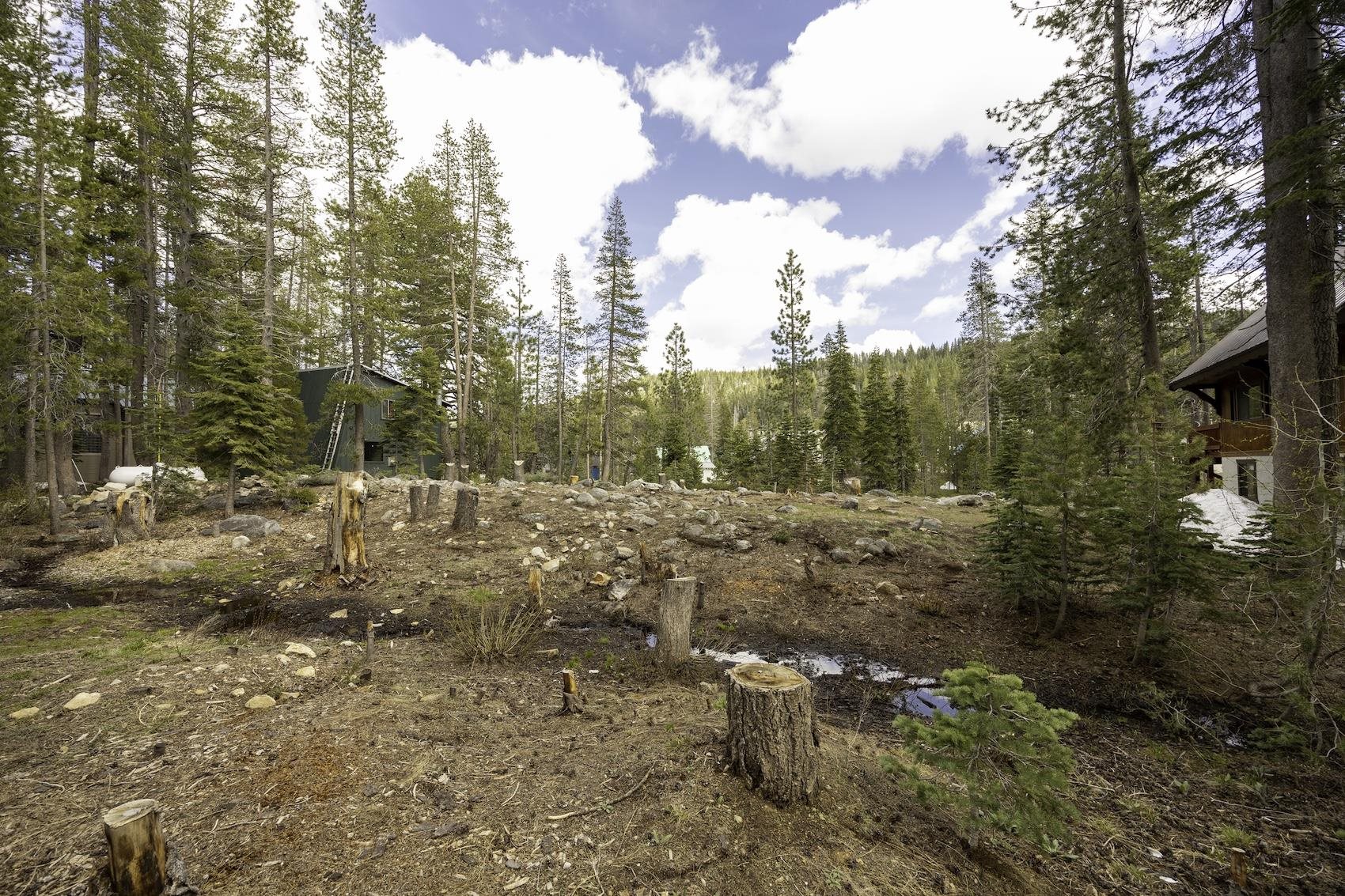 51305 Tamarack Crescent, Soda Springs, CA, 95728