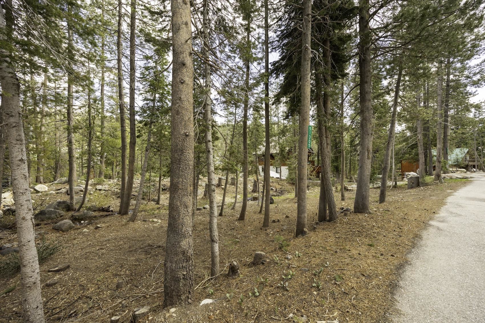 51305 Tamarack Crescent, Soda Springs, CA, 95728