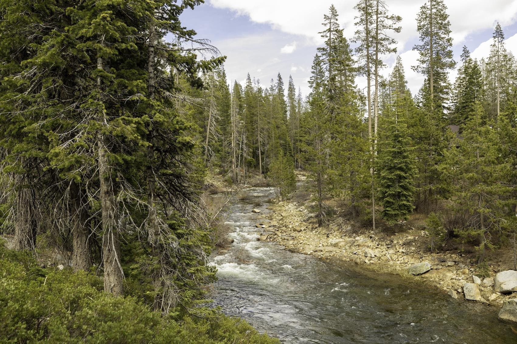 51305 Tamarack Crescent, Soda Springs, CA, 95728