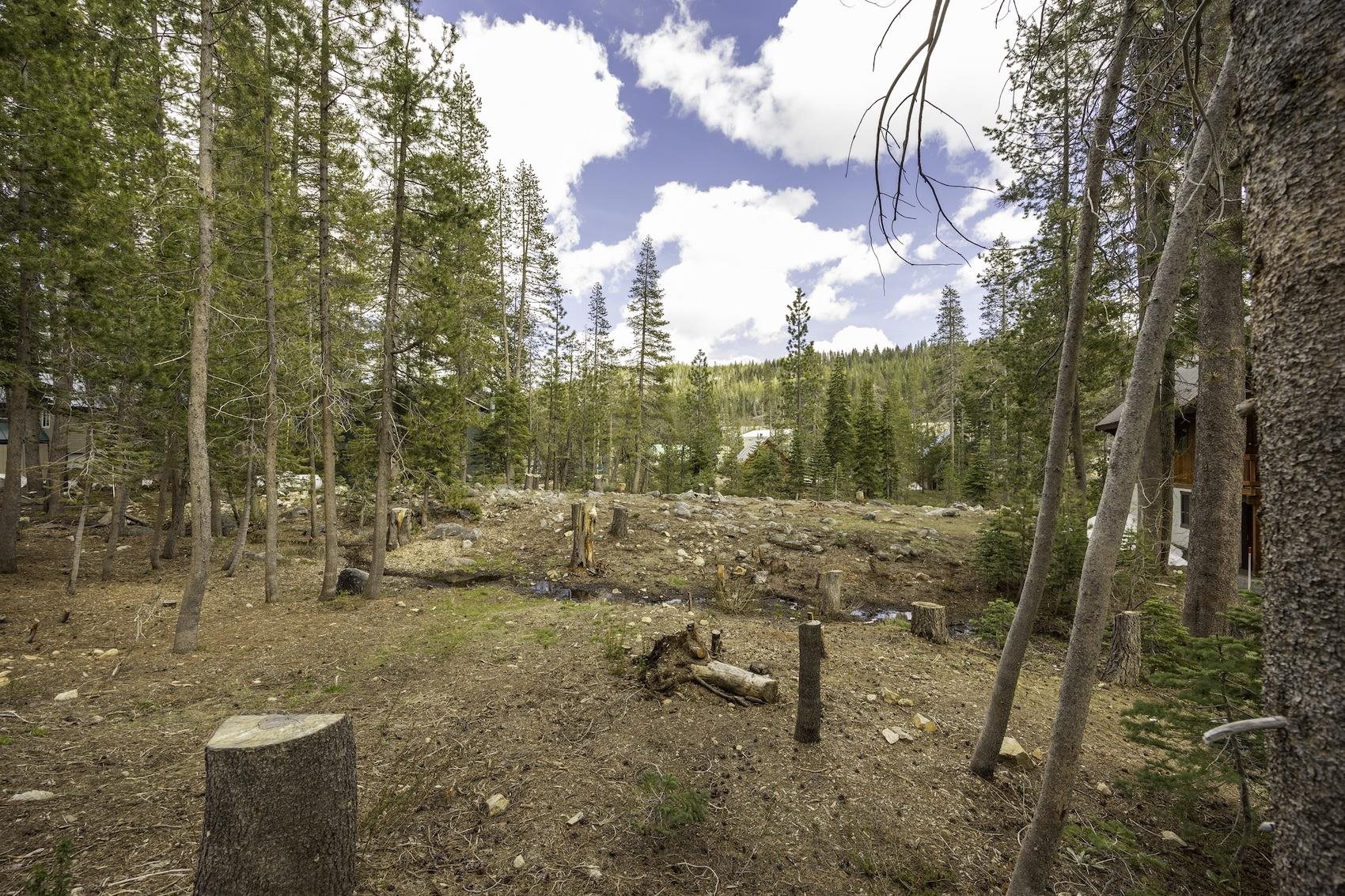 51305 Tamarack Crescent, Soda Springs, CA, 95728