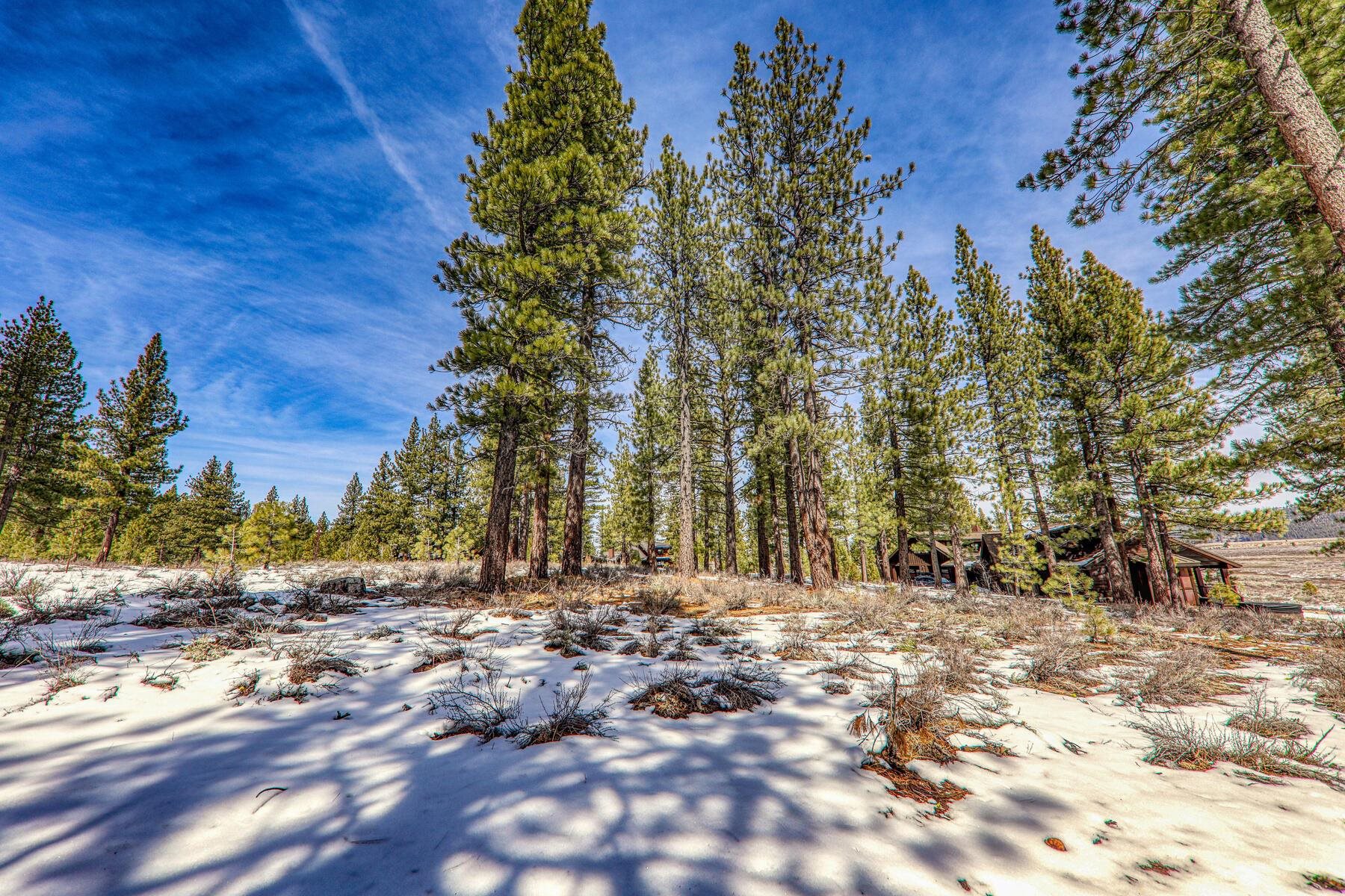 300 Bob Haslem, Truckee, CA, 96161-2840