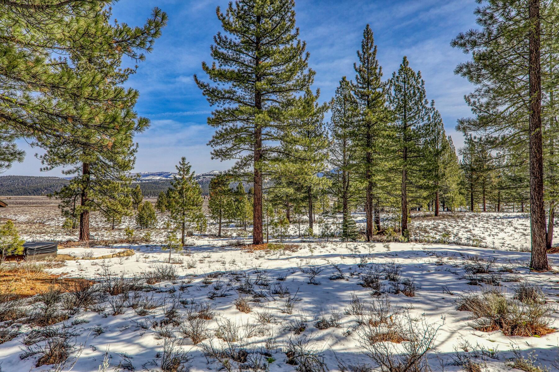 300 Bob Haslem, Truckee, CA, 96161-2840