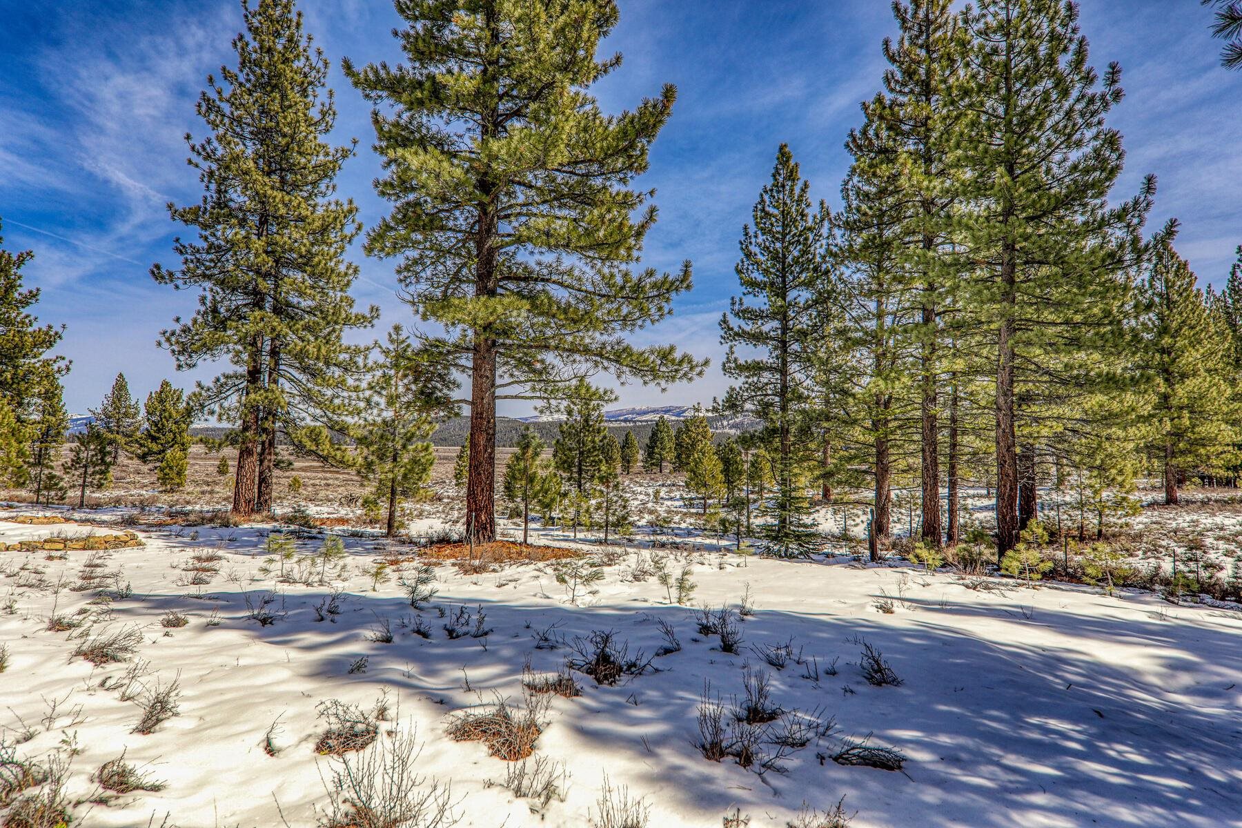 300 Bob Haslem, Truckee, CA, 96161-2840