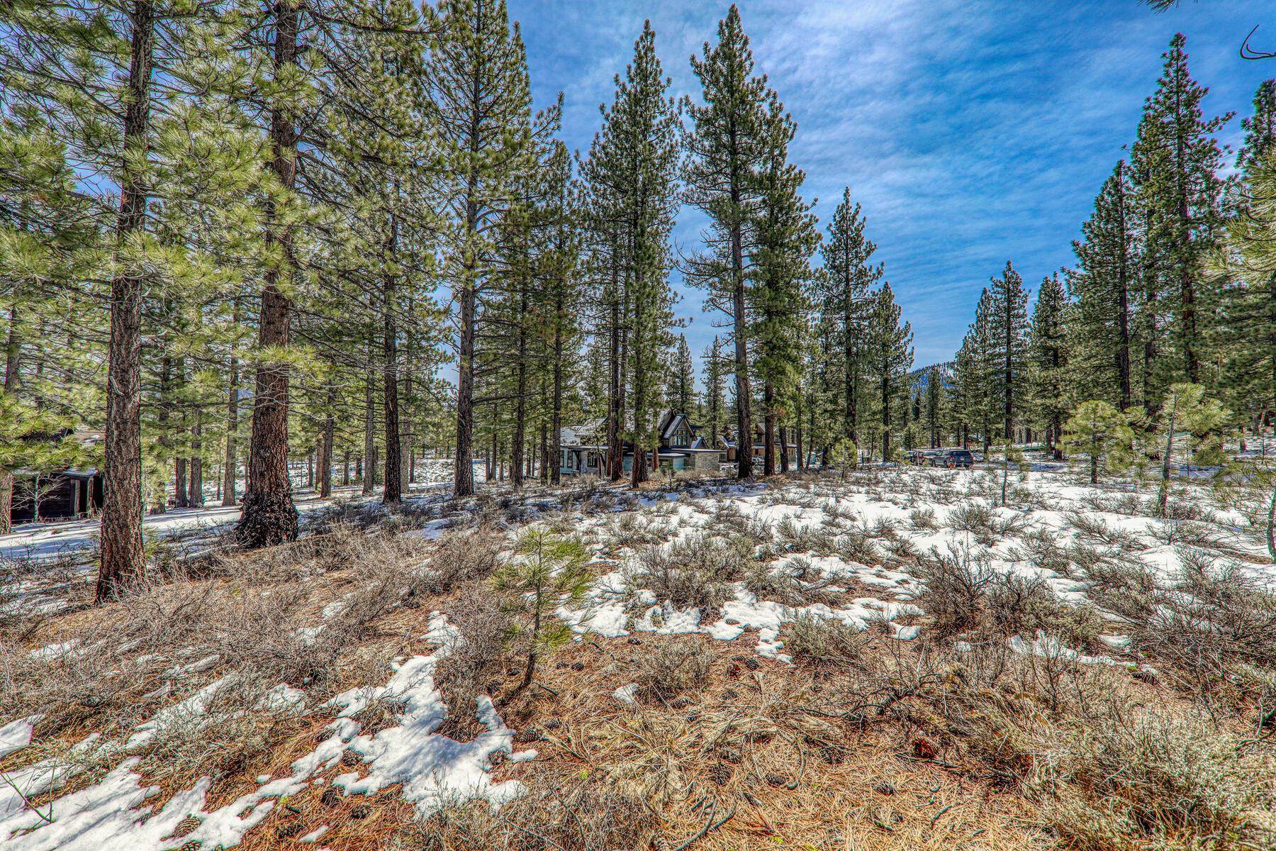 300 Bob Haslem, Truckee, CA, 96161-2840
