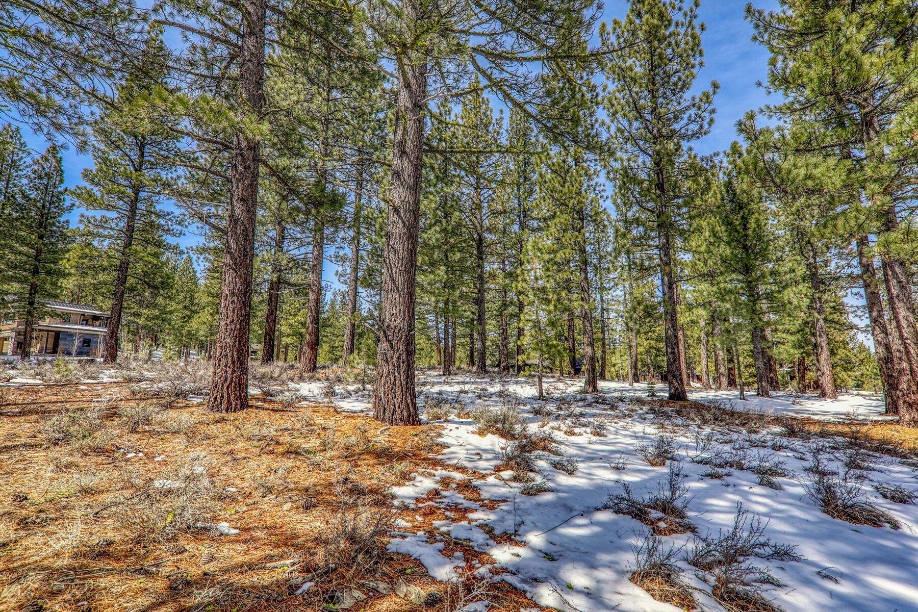 300 Bob Haslem, Truckee, CA, 96161-2840