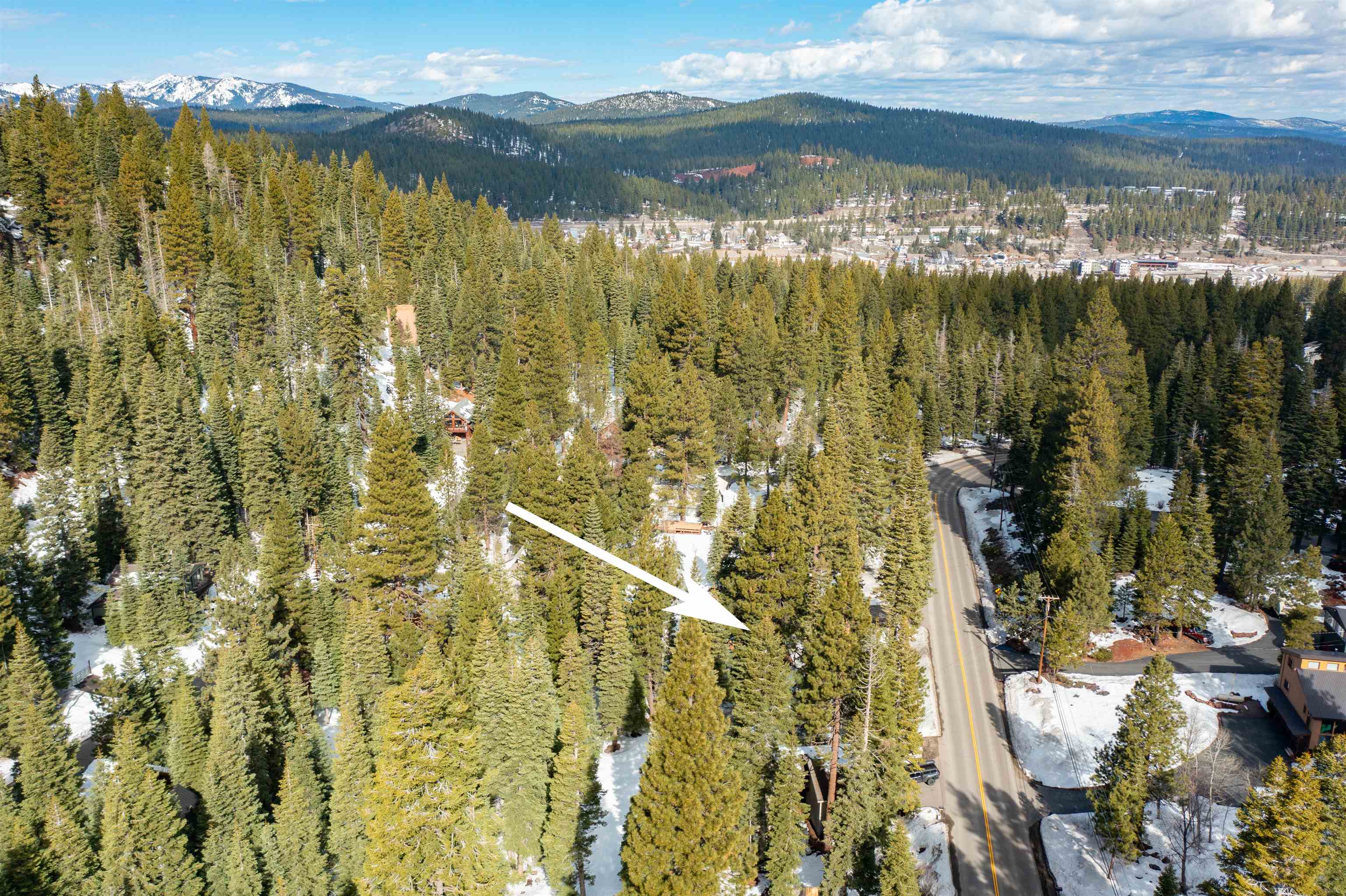 Sierra Meadows/Ponderosa