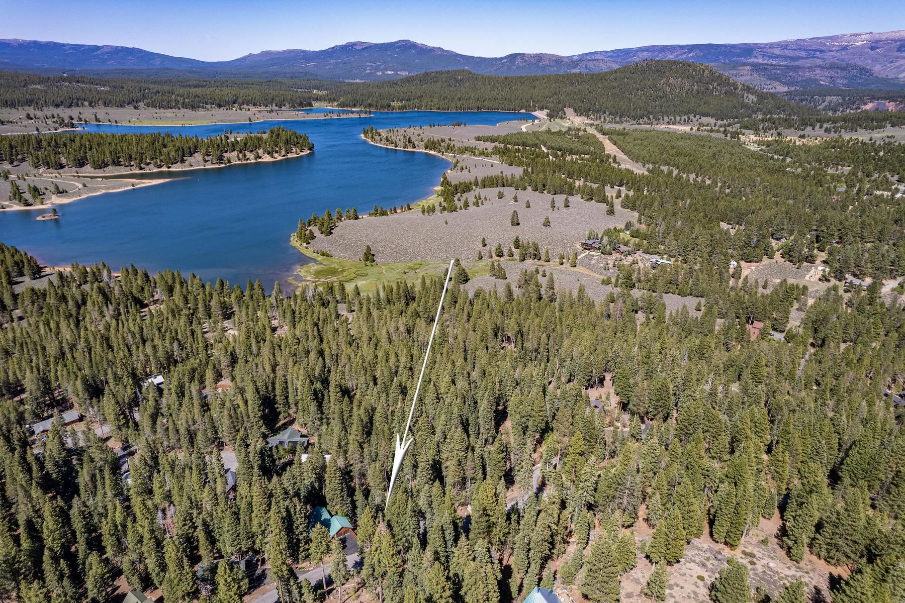 10902 Laurelwood Drive