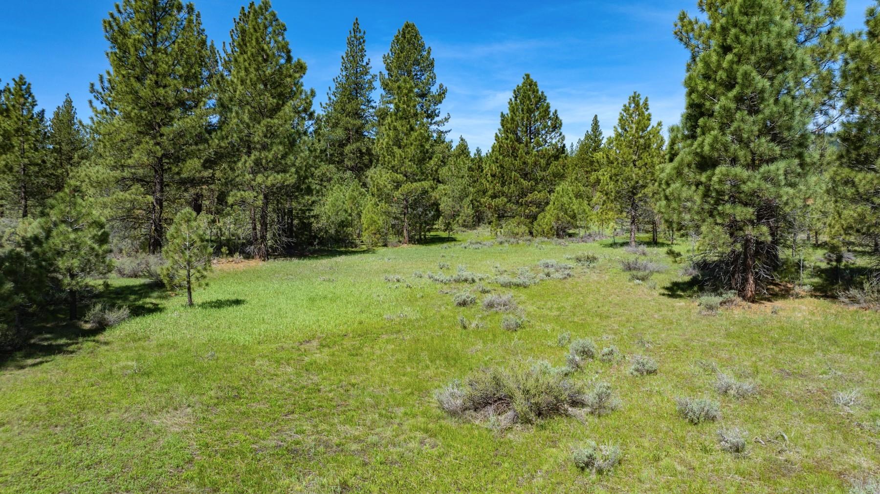 Parcel 1A Highway 70, Portola, CA, 96122