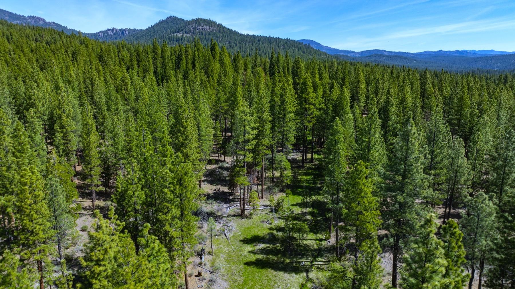 Parcel 1A Highway 70, Portola, CA, 96122