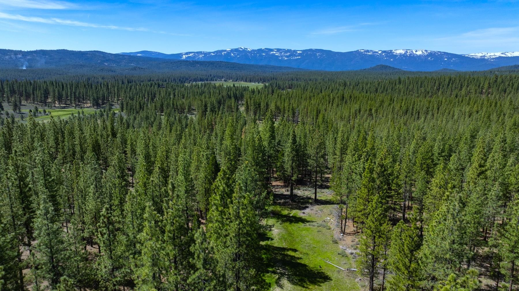 Parcel 1A Highway 70, Portola, CA, 96122