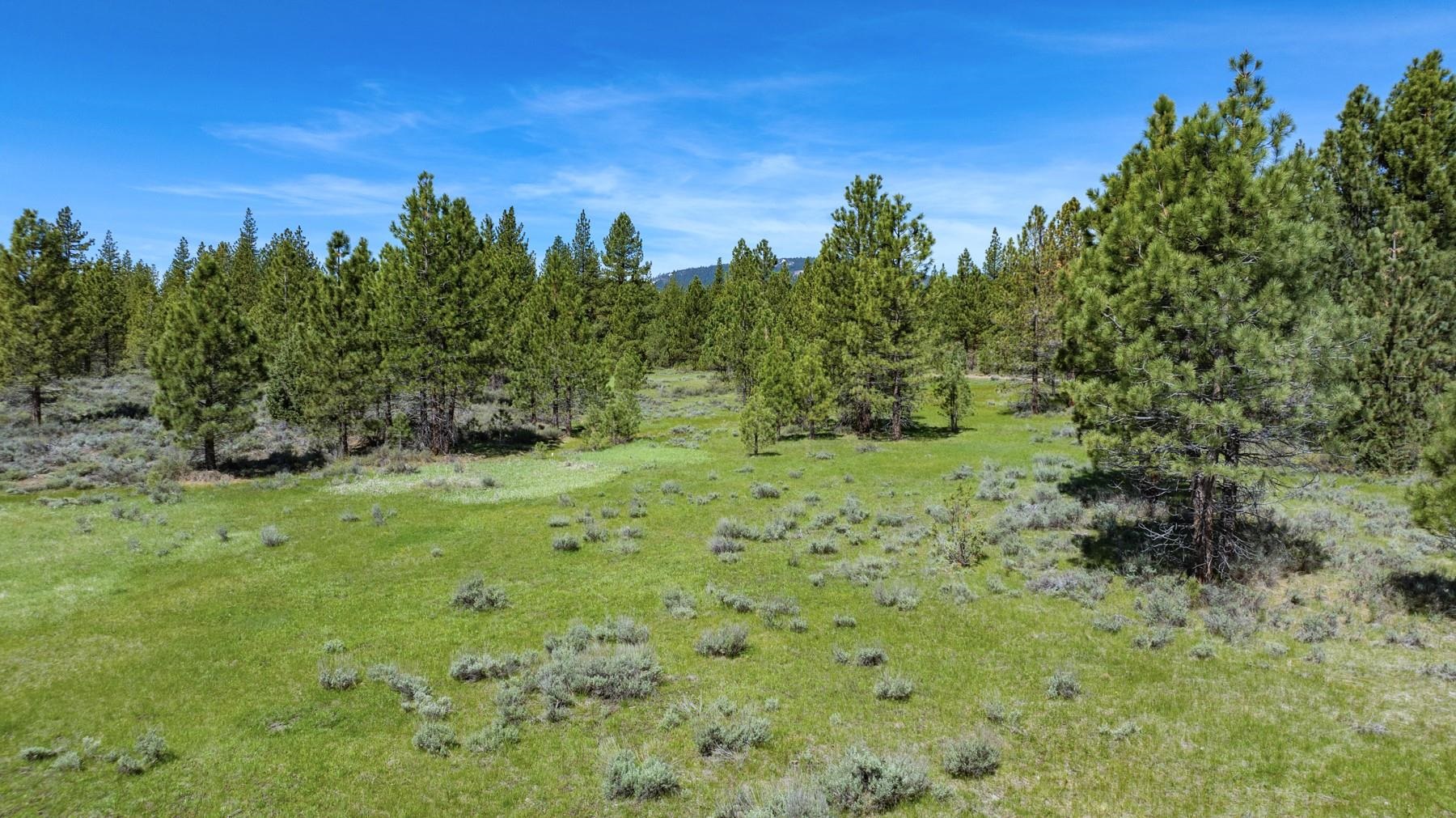 Parcel 1A Highway 70, Portola, CA, 96122