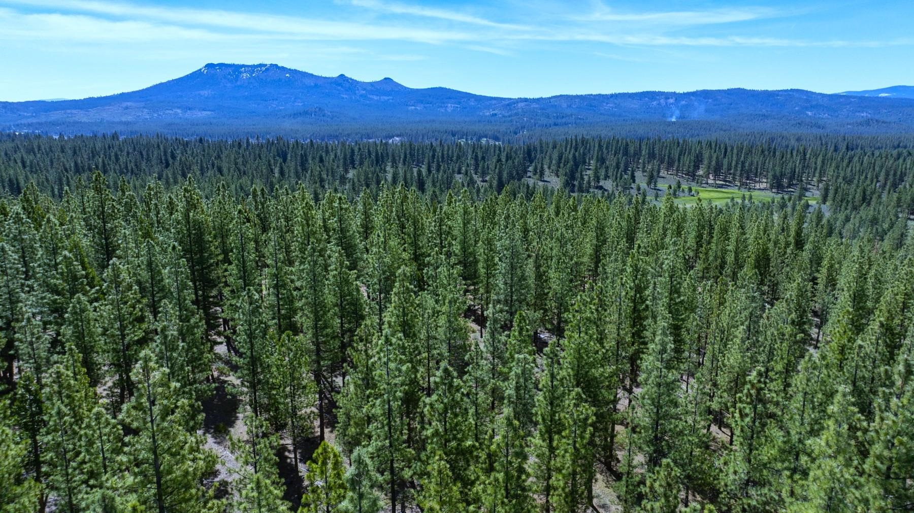 Parcel 1A Highway 70, Portola, CA, 96122