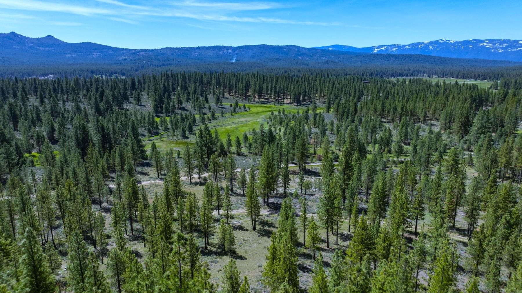 Parcel 1A Highway 70, Portola, CA, 96122