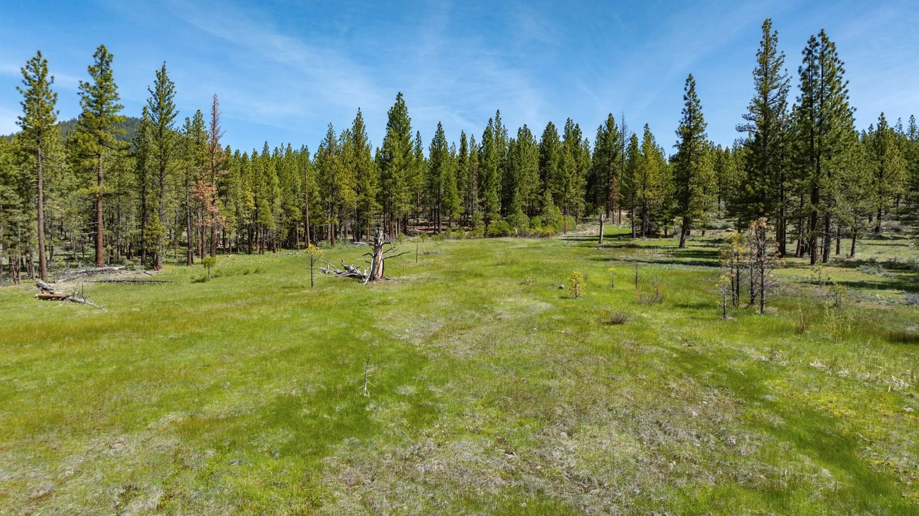 Parcel 1A Highway 70, Portola, CA, 96122