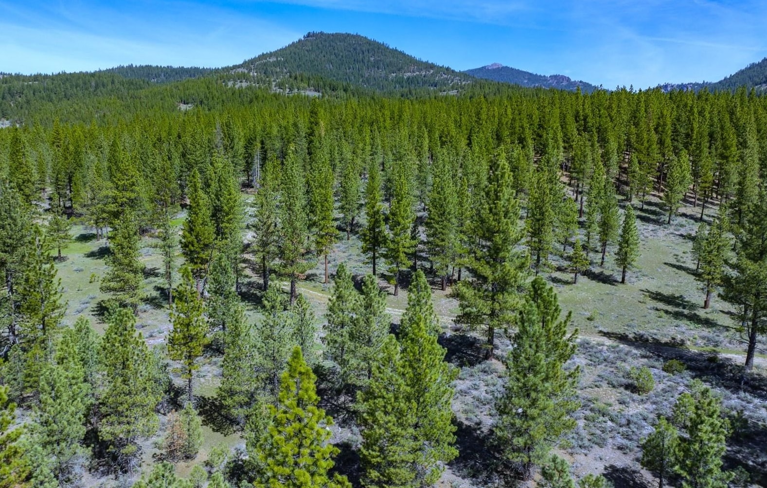 20256 Hibbet Trail, Reno, NV, 89511