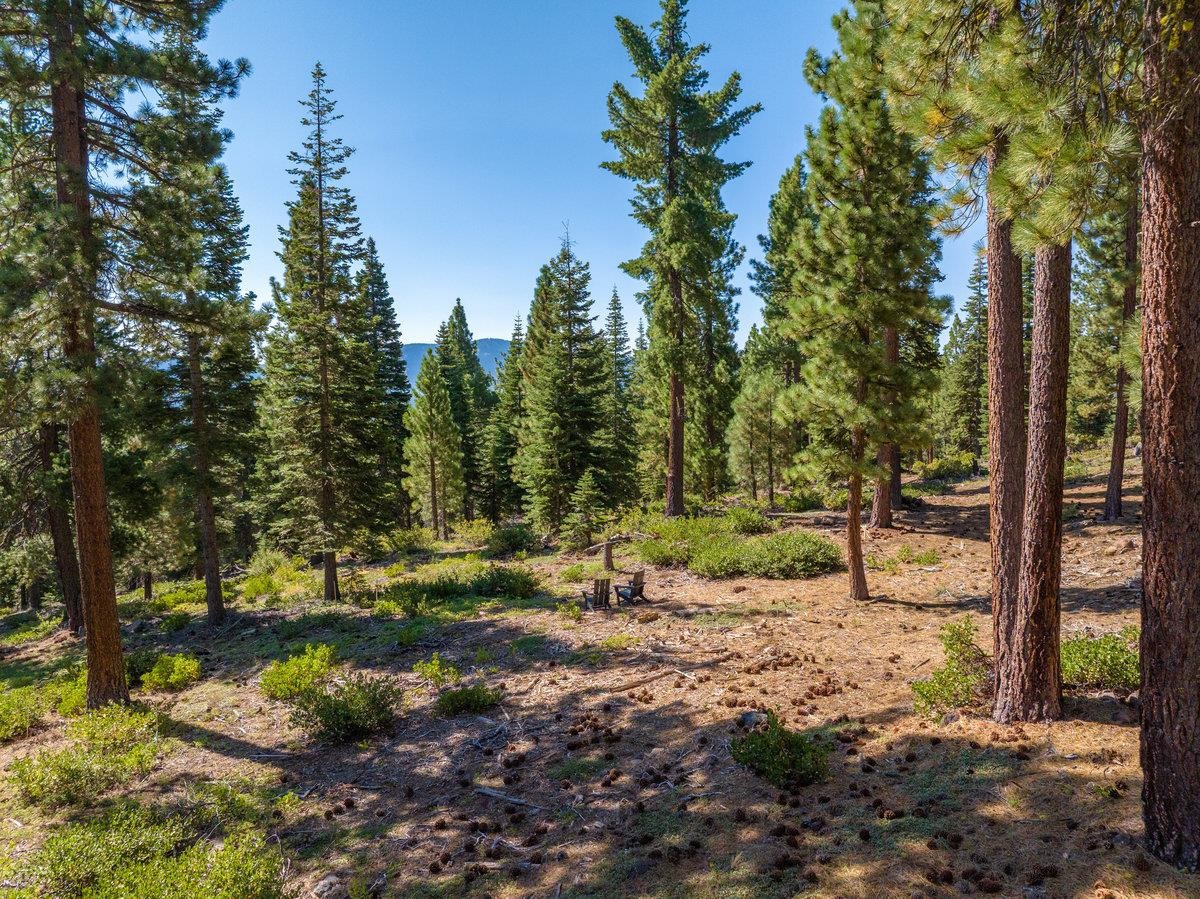 11494 Alder Hill Road