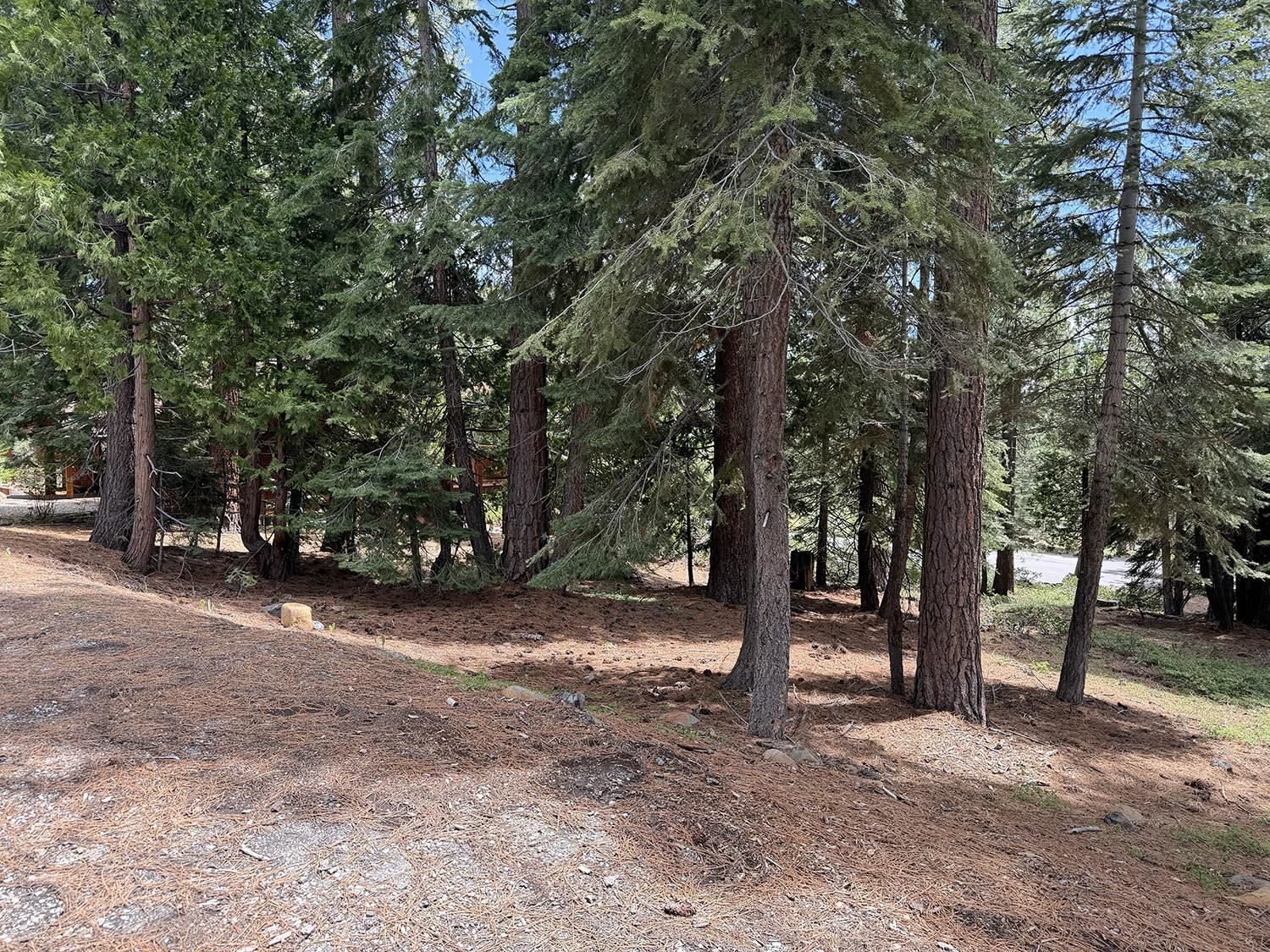 1240 Canterbury Drive