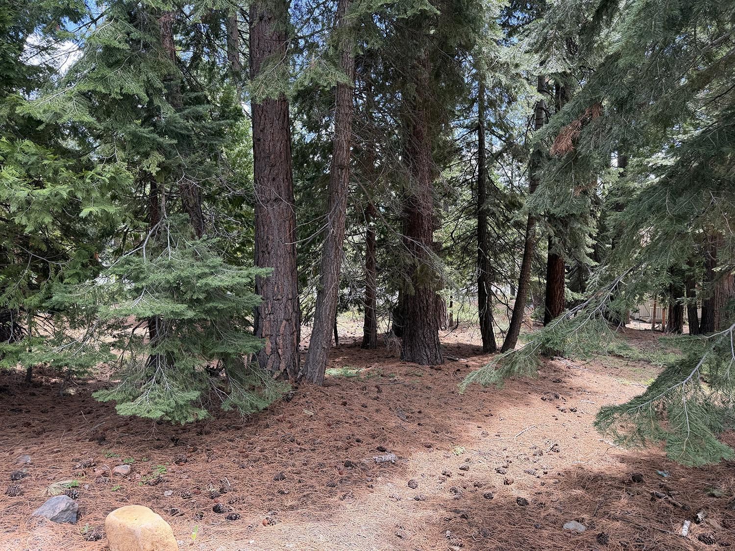 1240 Canterbury Drive