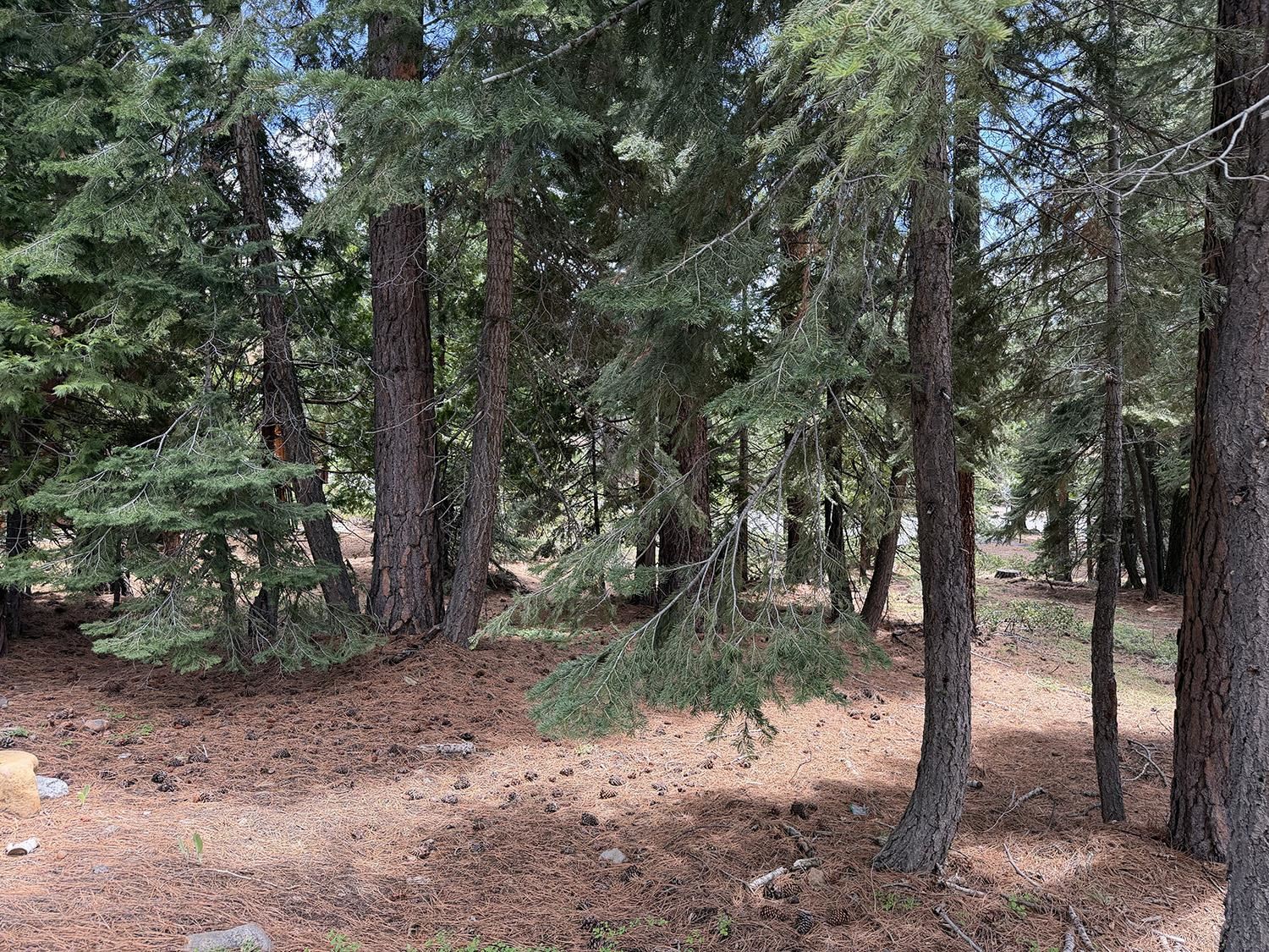 1240 Canterbury Drive